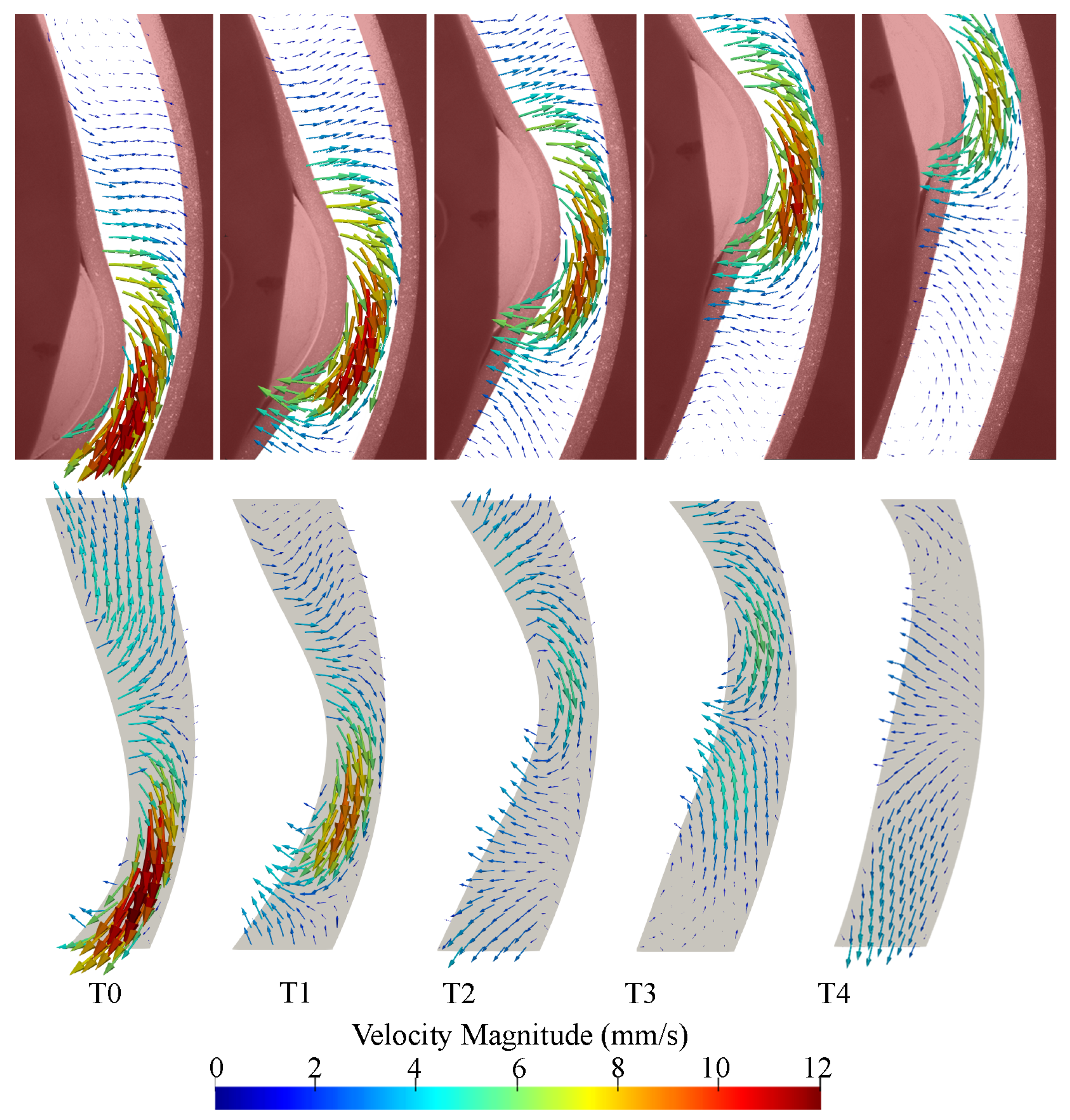 Fluids 07 00040 g008