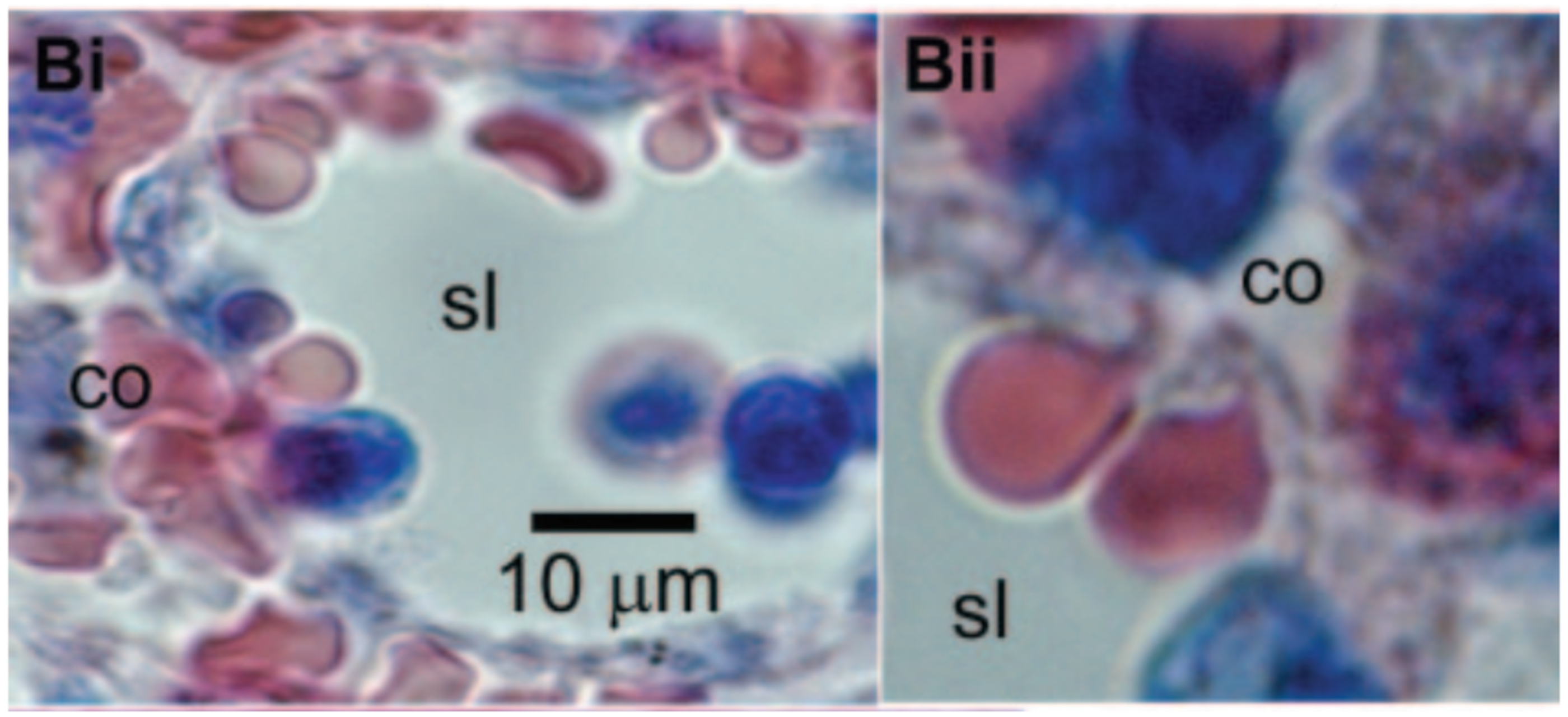 Fluids 07 00066 g004