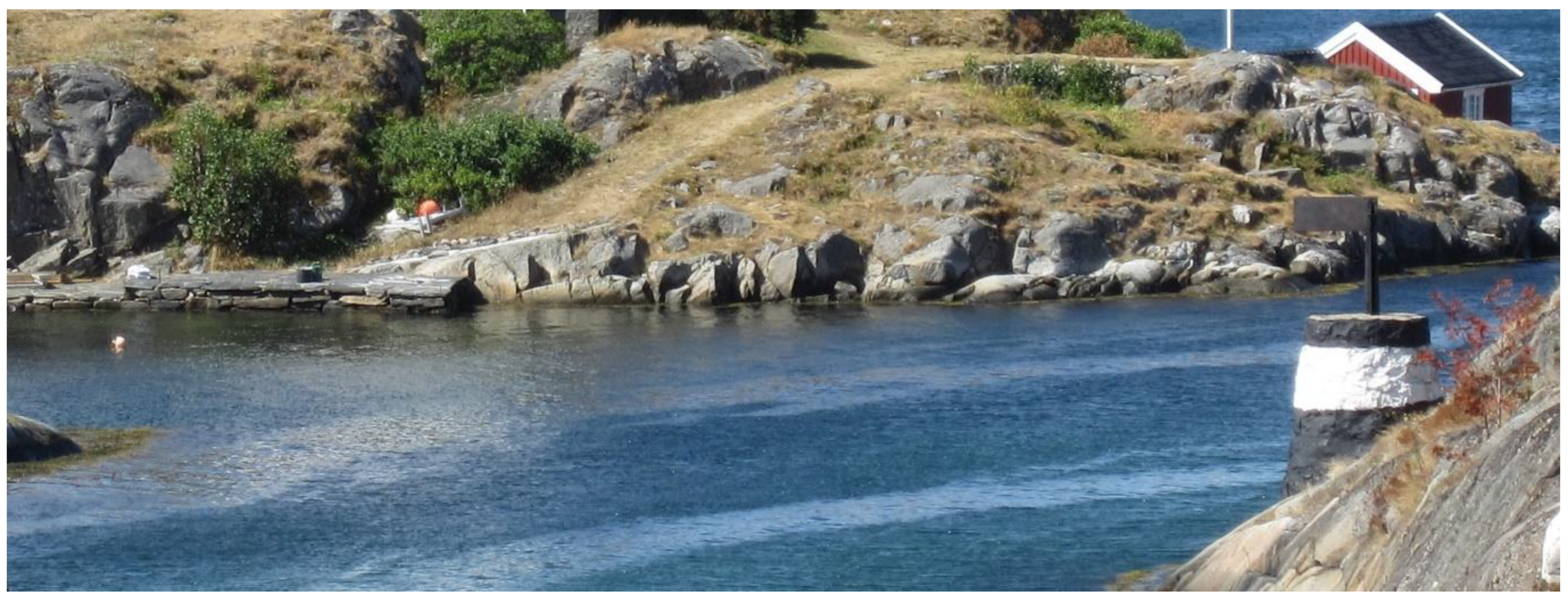 Fluids 07 00073 g002