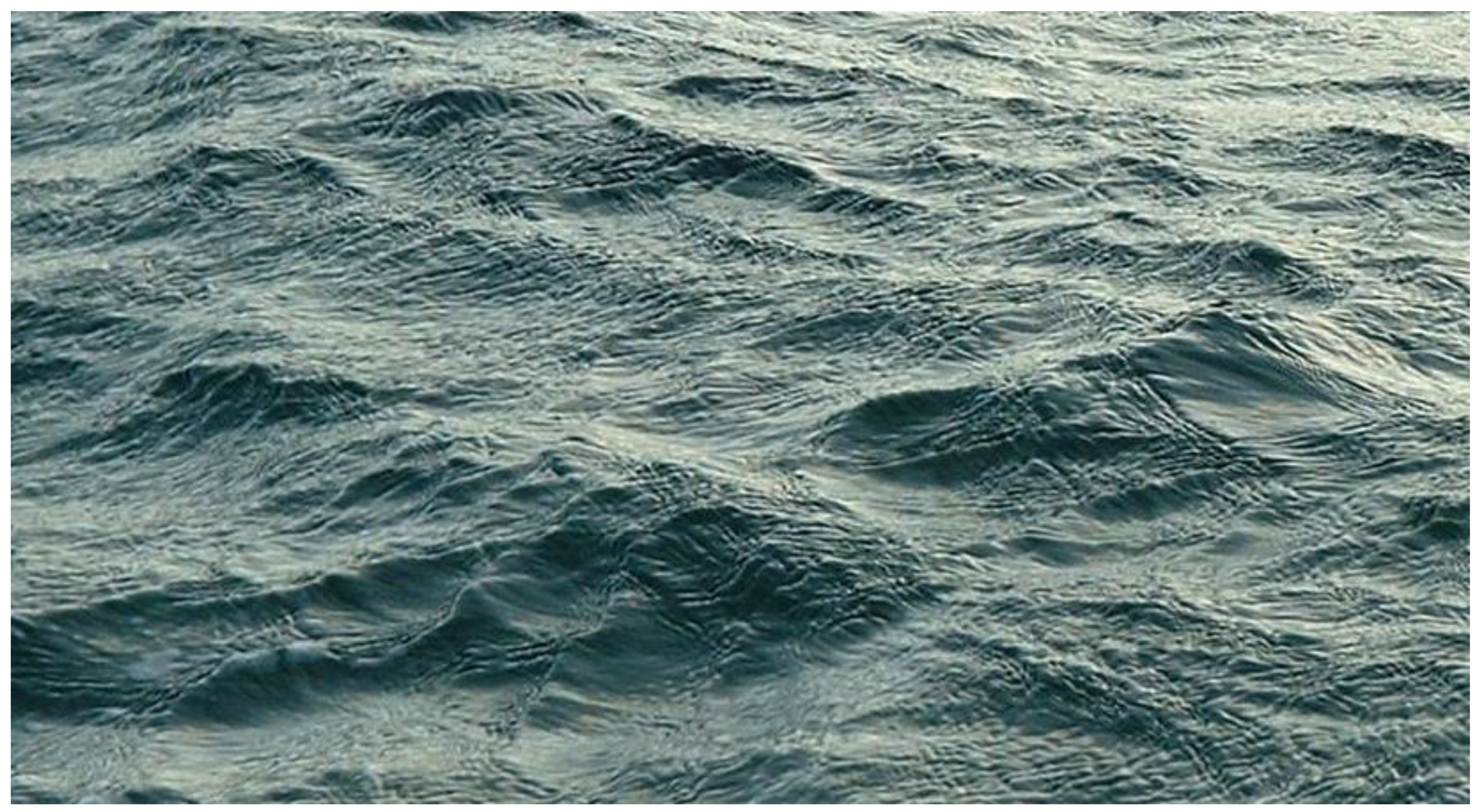 Fluids 07 00073 g003