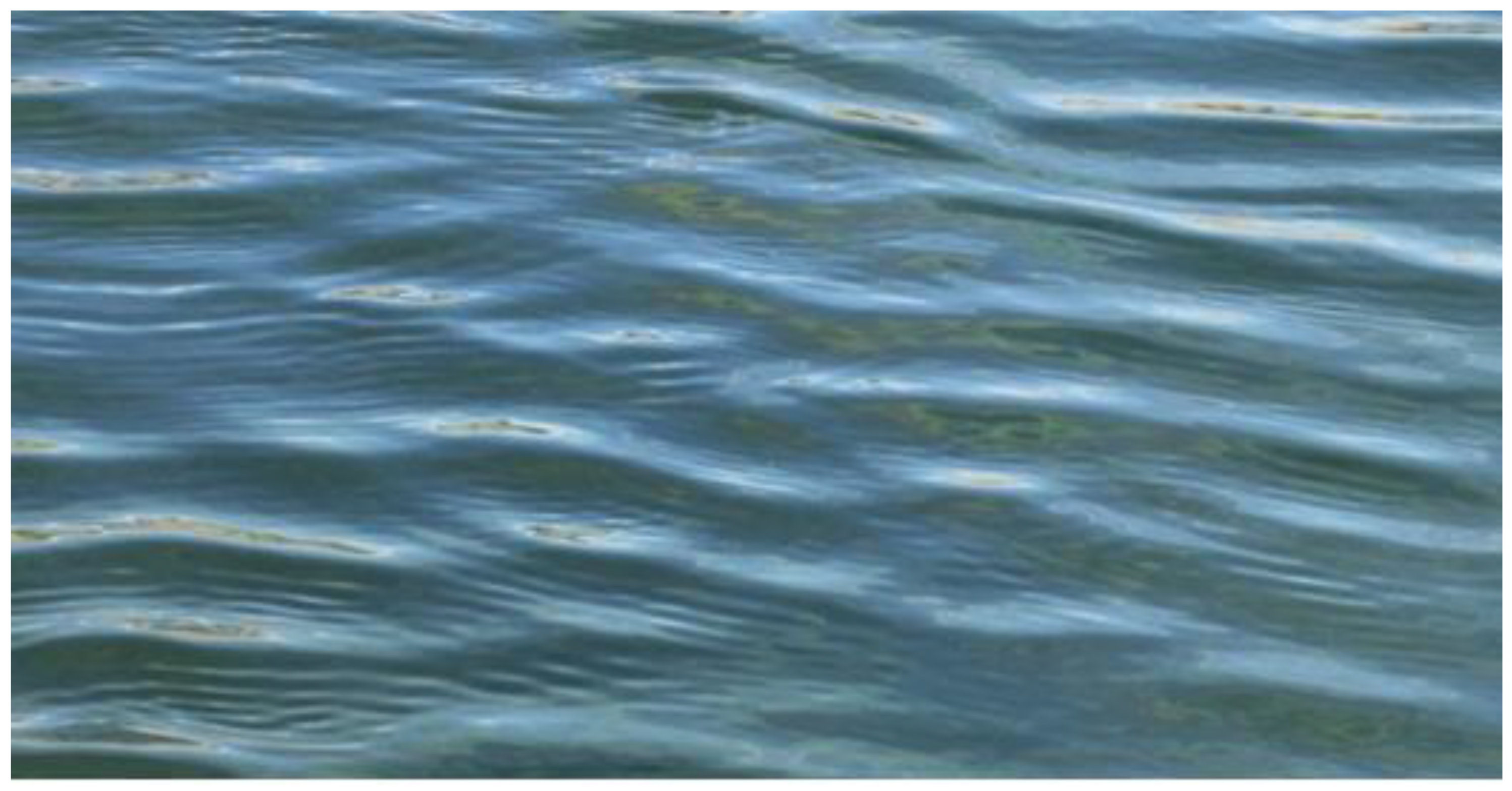 Fluids 07 00073 g006