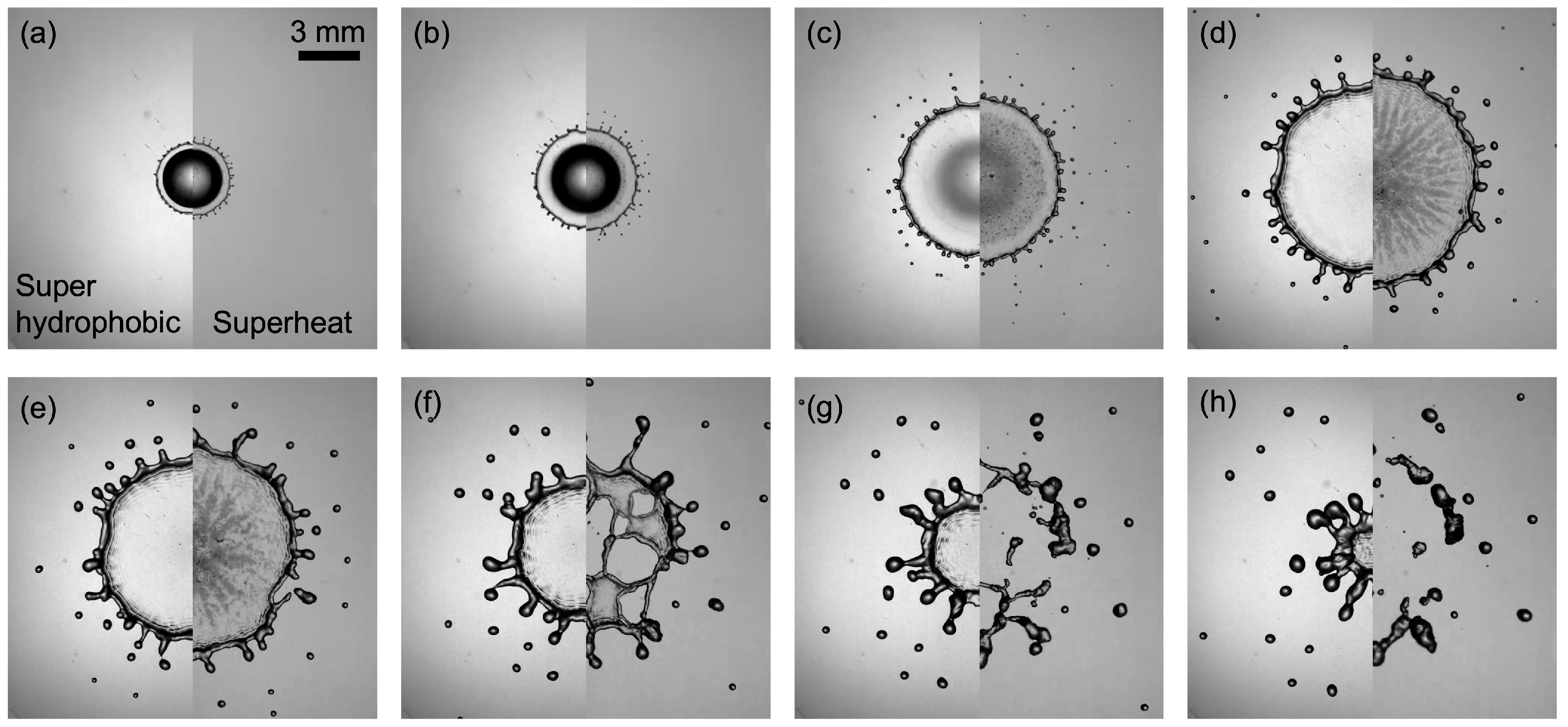 Fluids 07 00079 g004