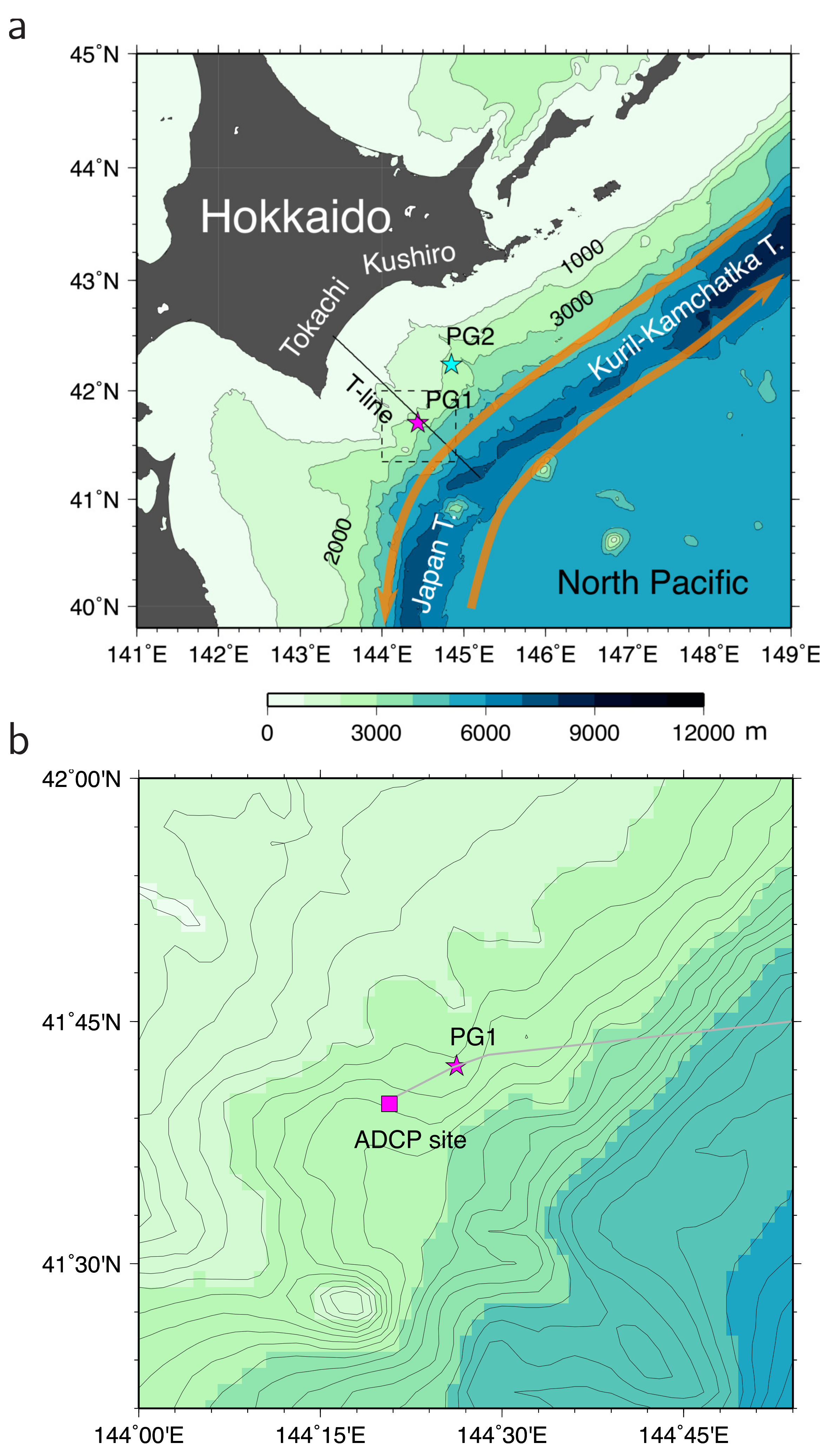 Fluids 07 00084 g001
