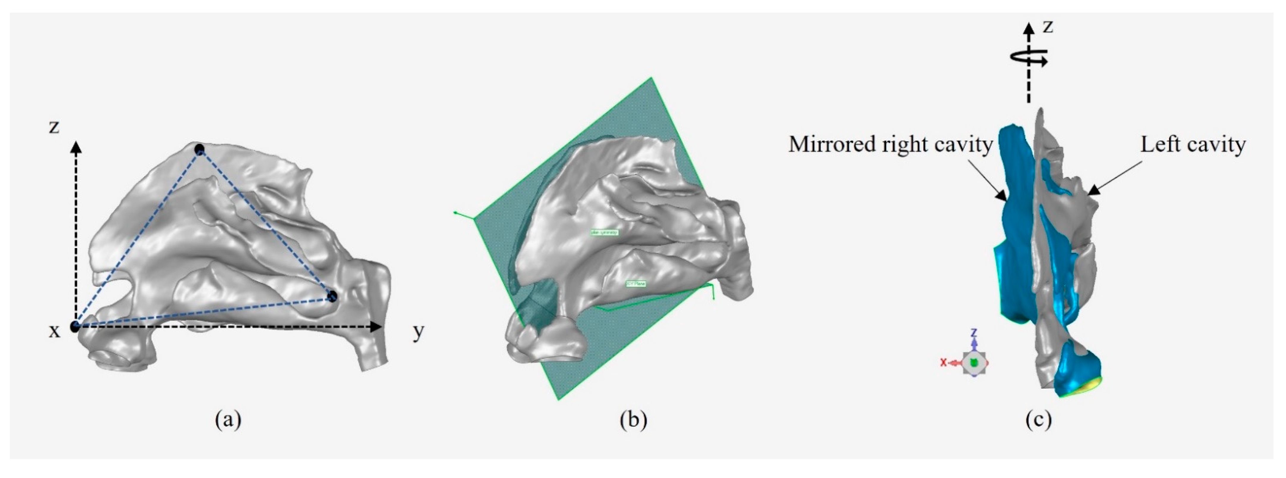 Fluids 07 00089 g003