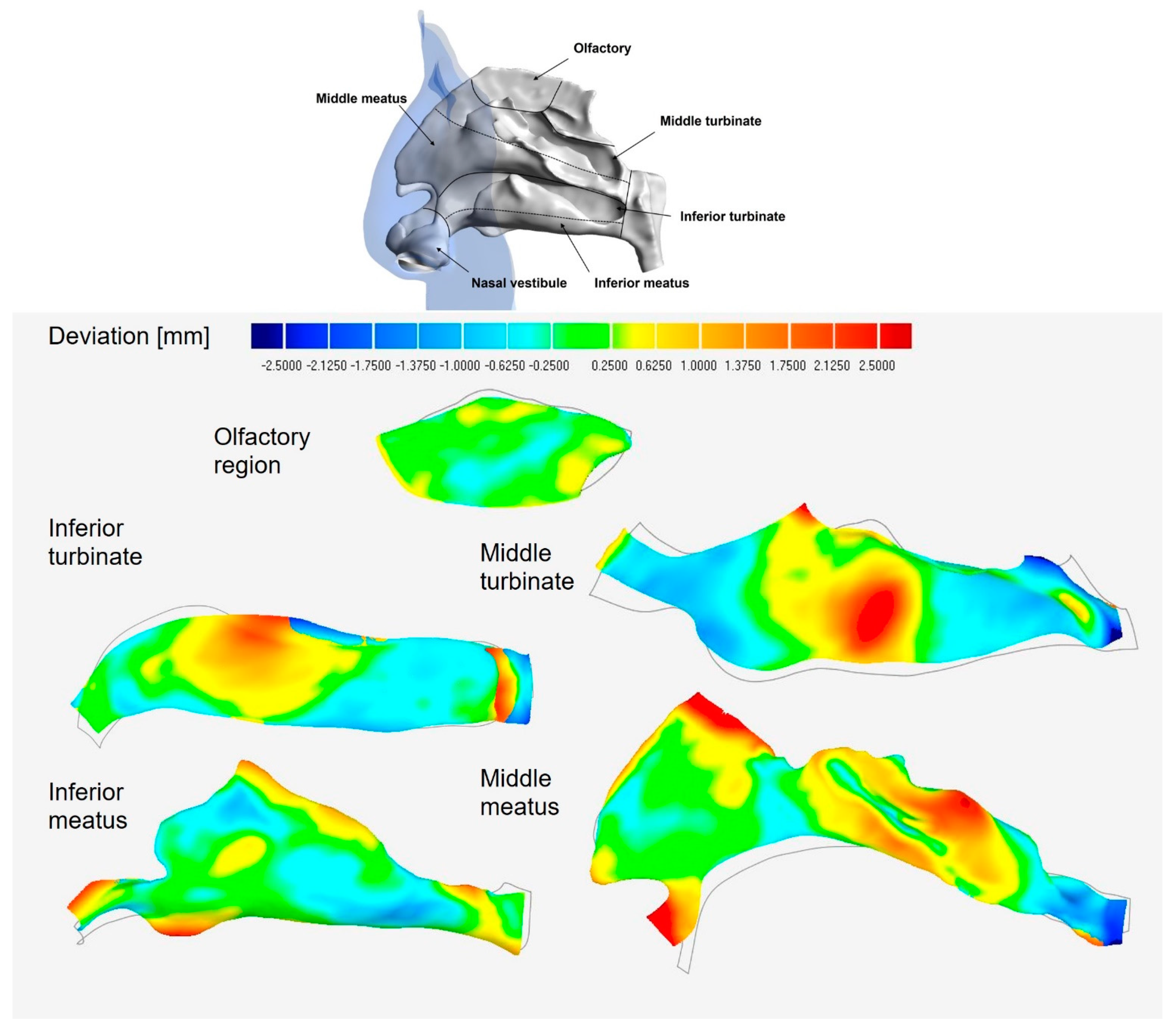 Fluids 07 00089 g007