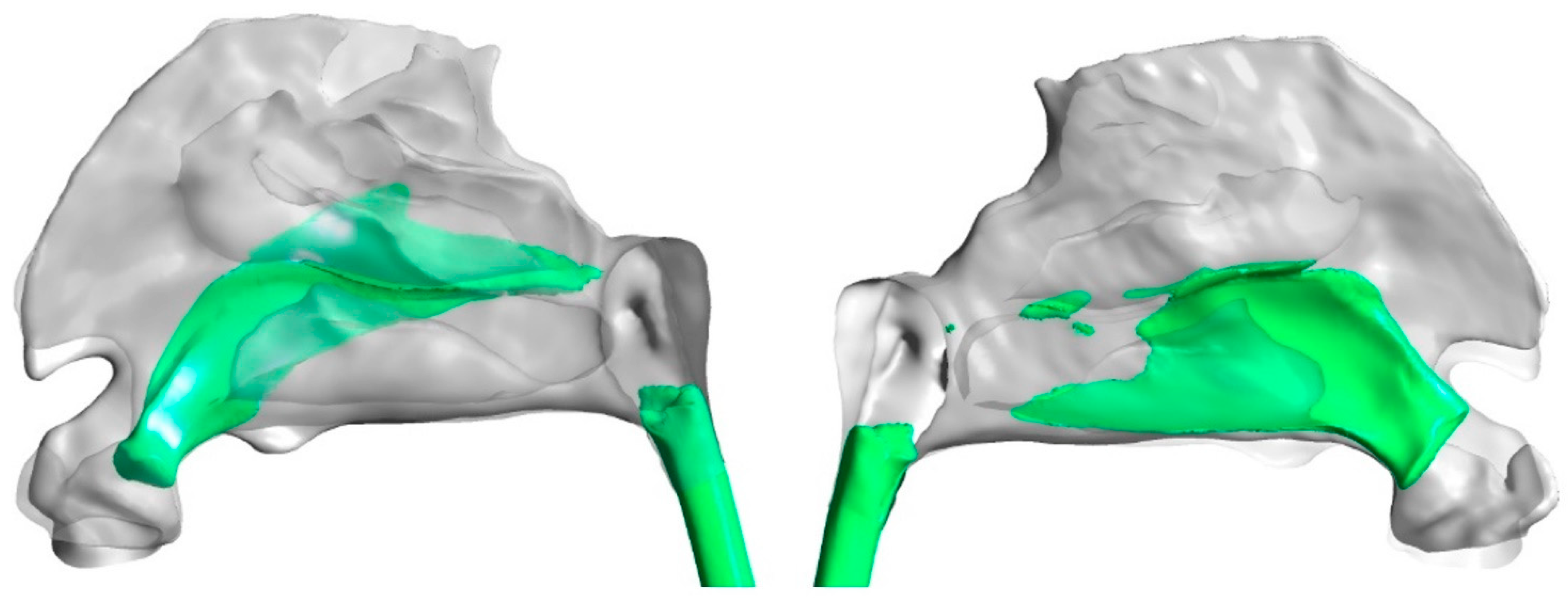 Fluids 07 00089 g010