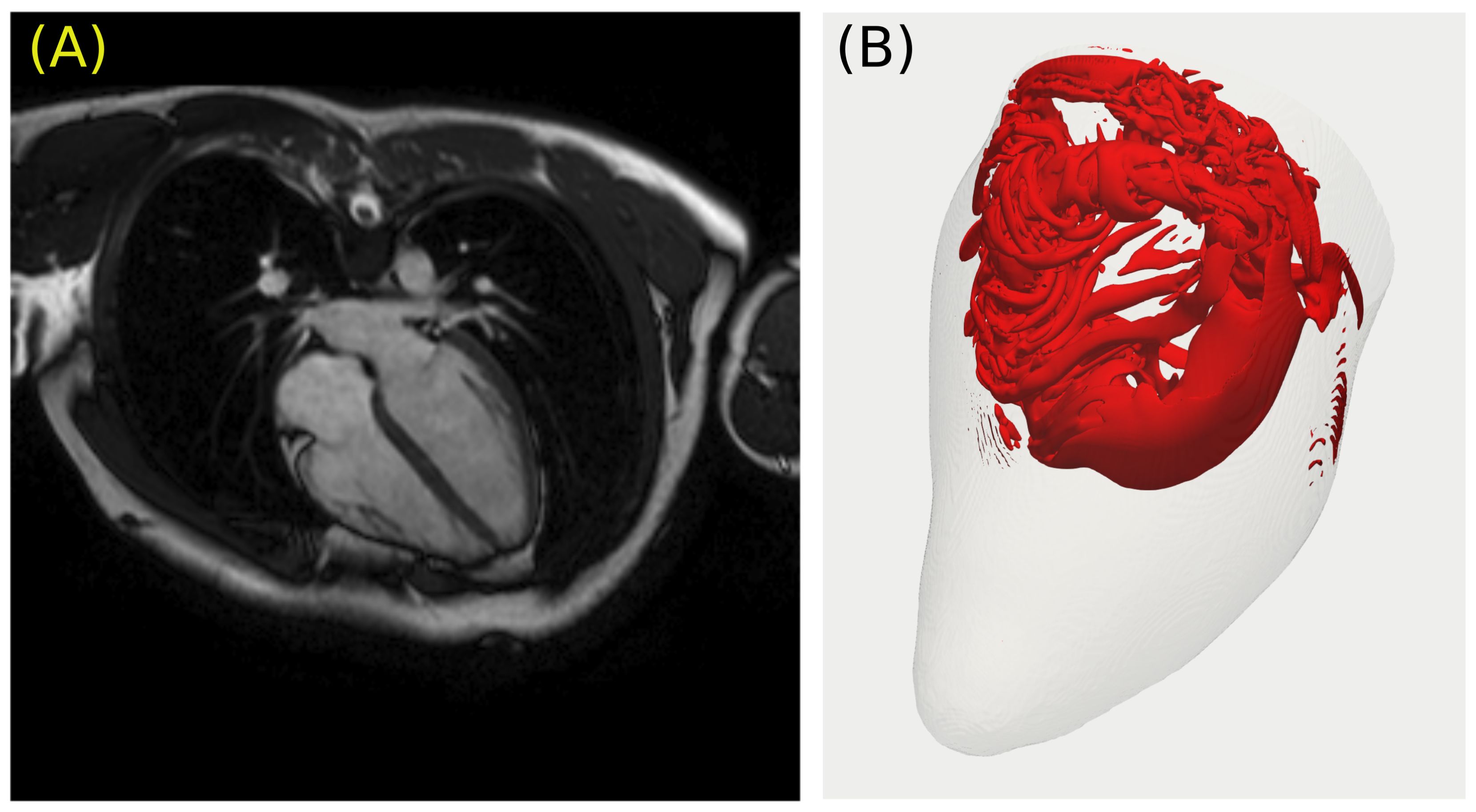 Fluids 07 00094 g003