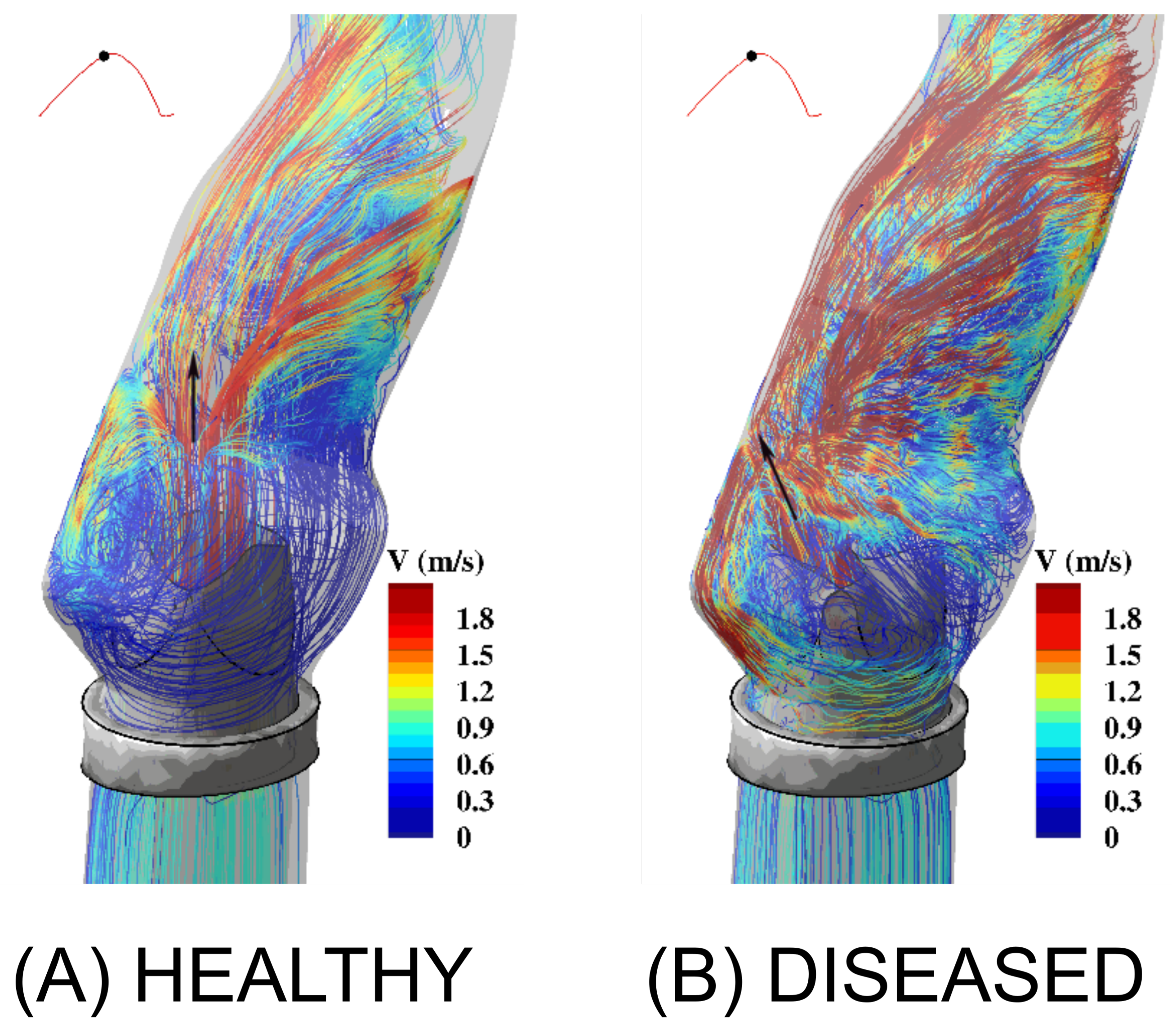Fluids 07 00094 g006