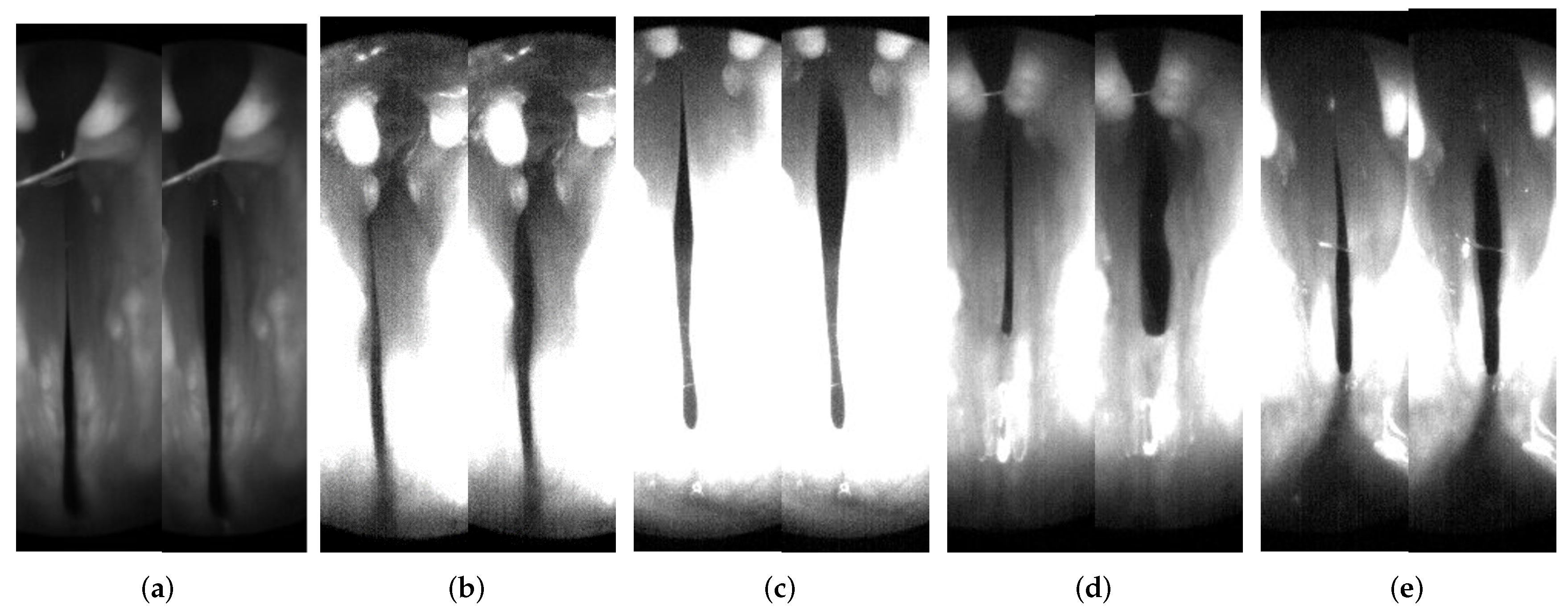Fluids 07 00097 g001