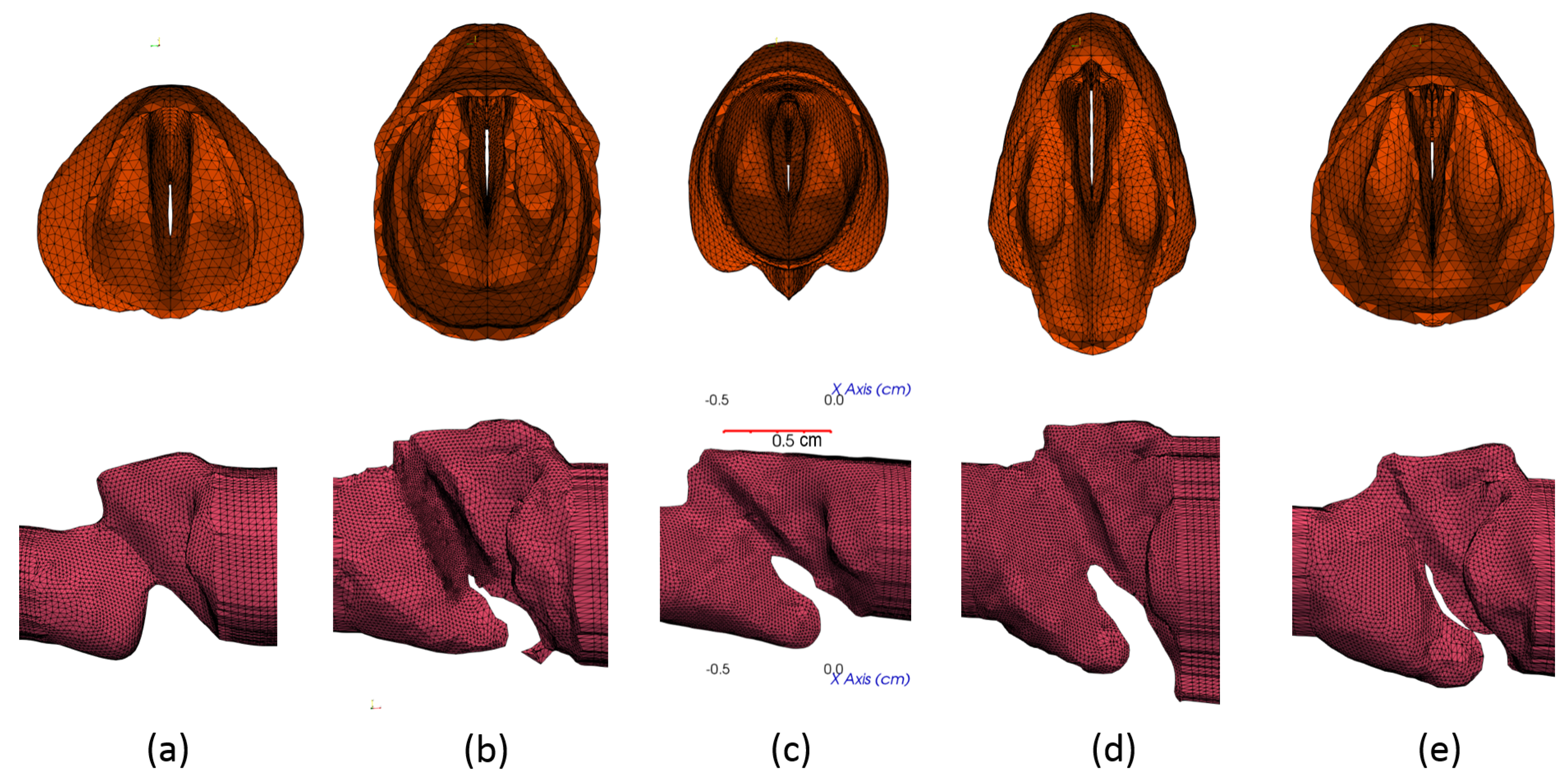Fluids 07 00097 g003