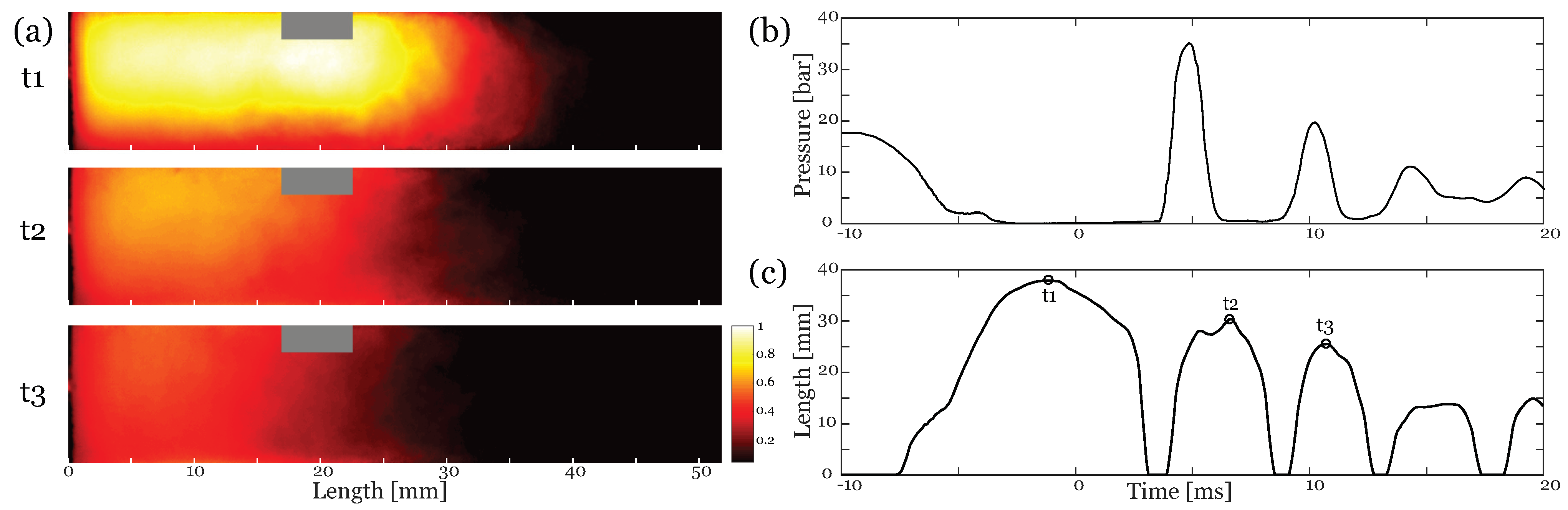 Fluids 07 00102 g007