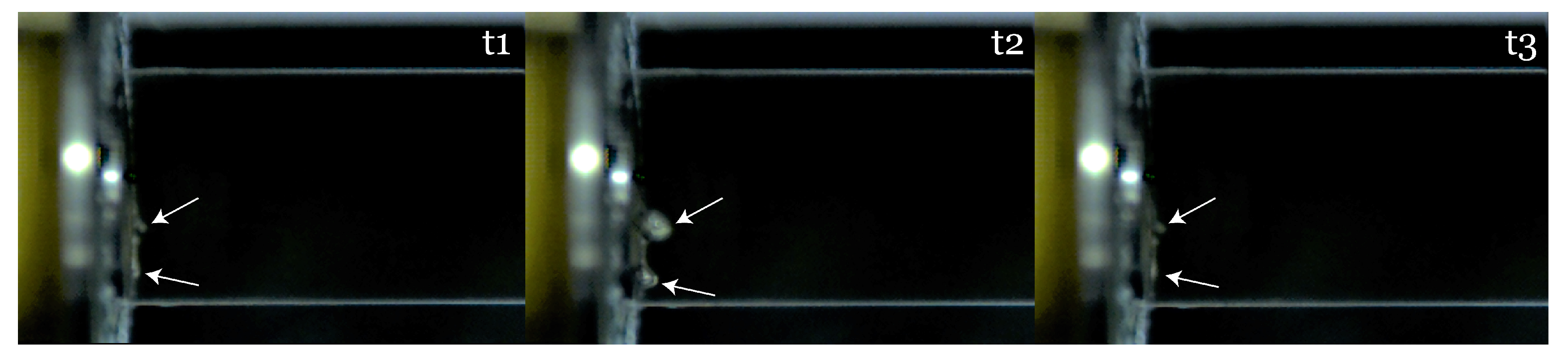 Fluids 07 00102 g009