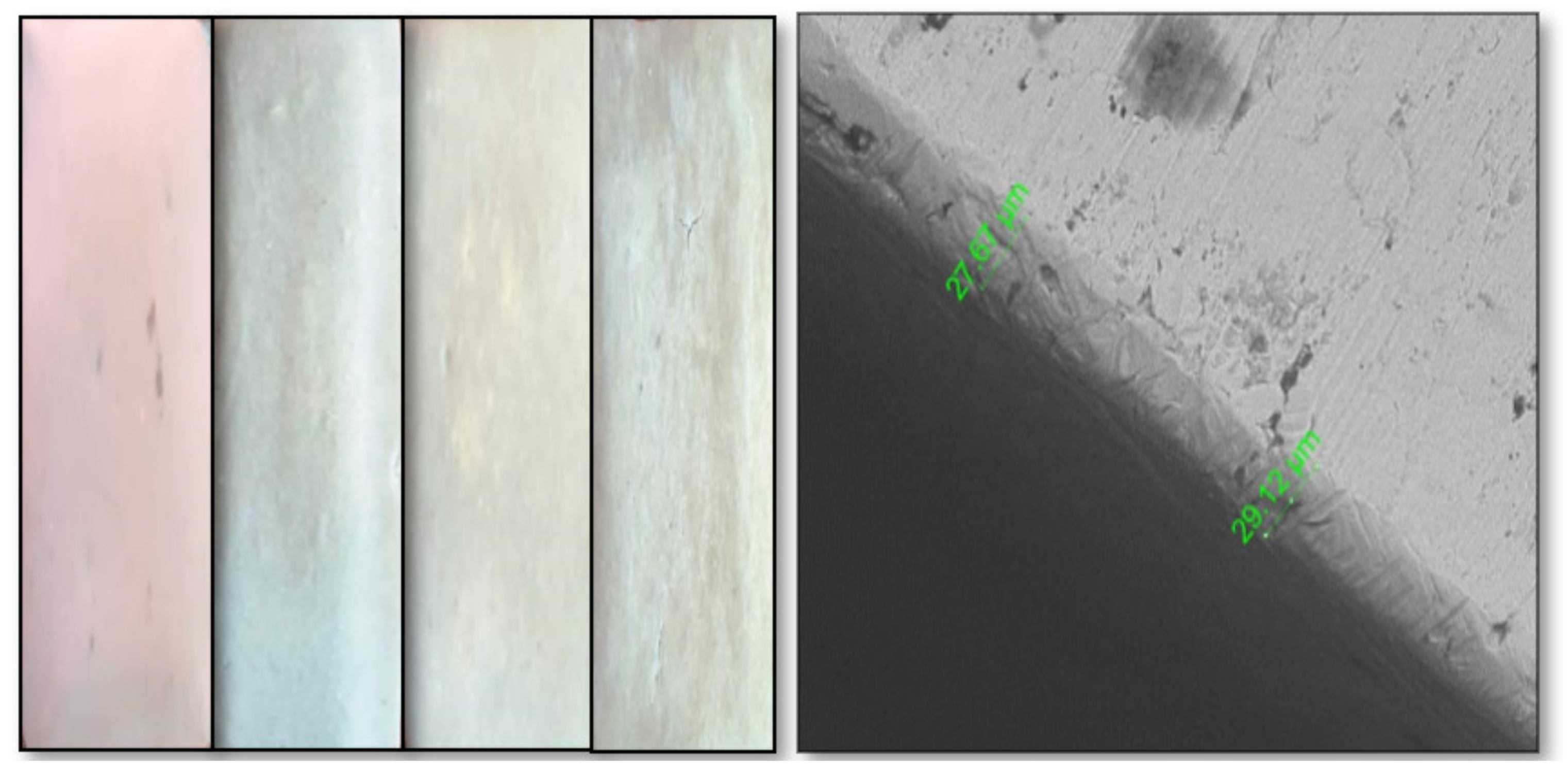 Fluids 07 00127 g002