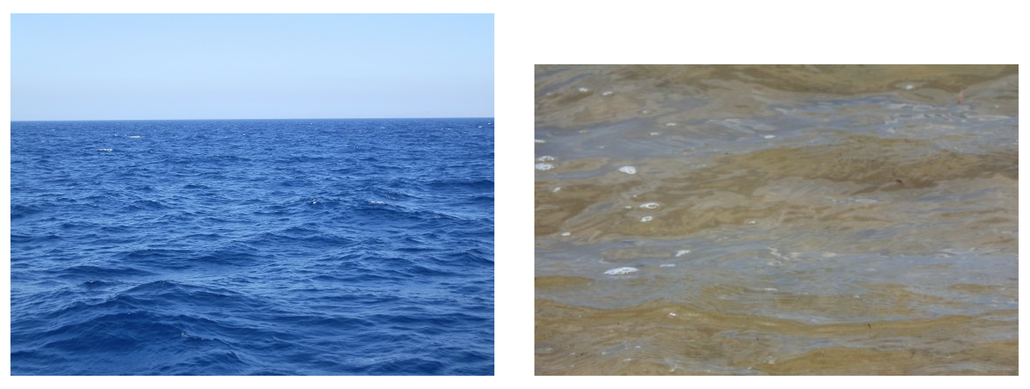 Fluids 07 00137 g014 Fluids 07 00137 g014