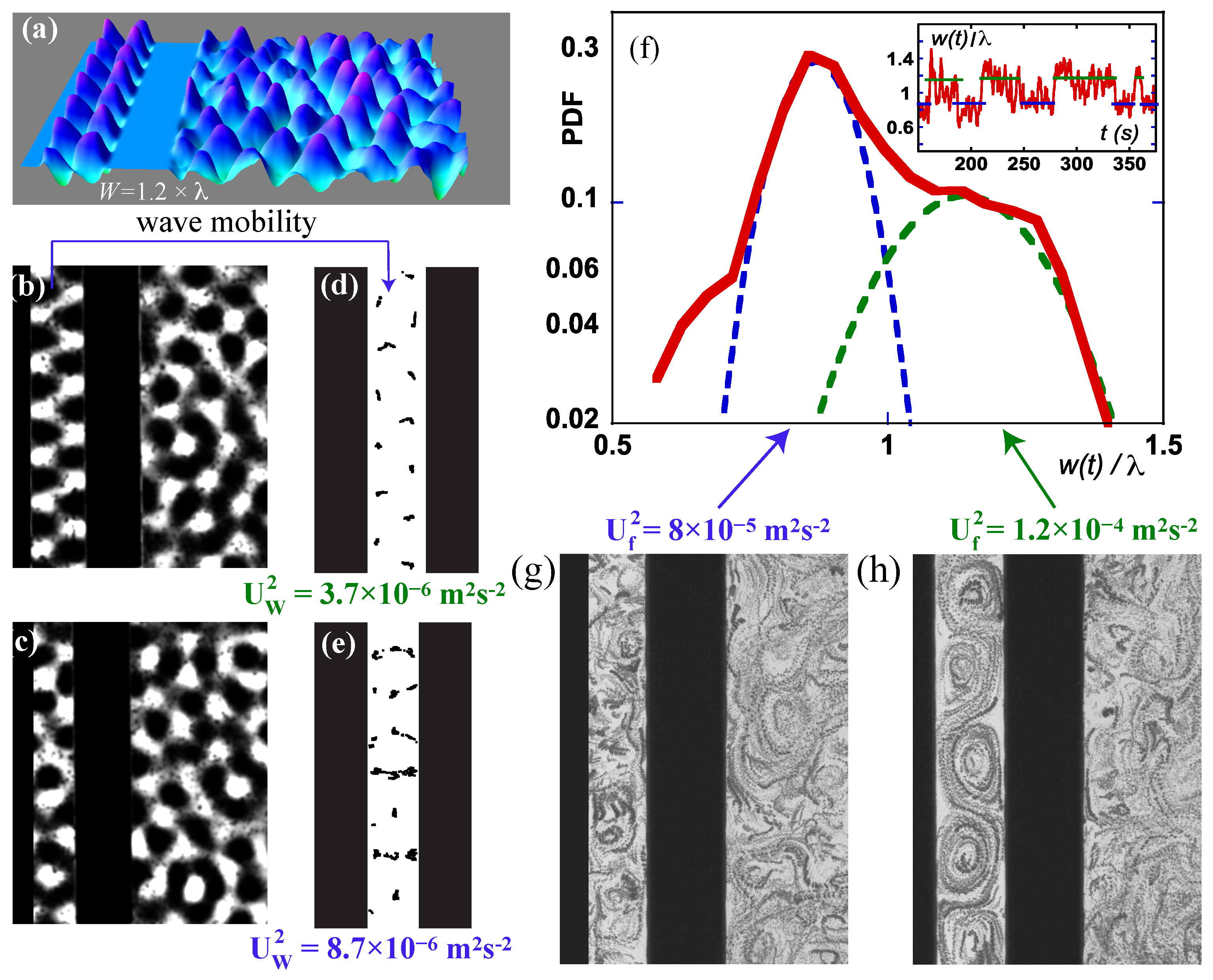 Fluids 07 00155 g005