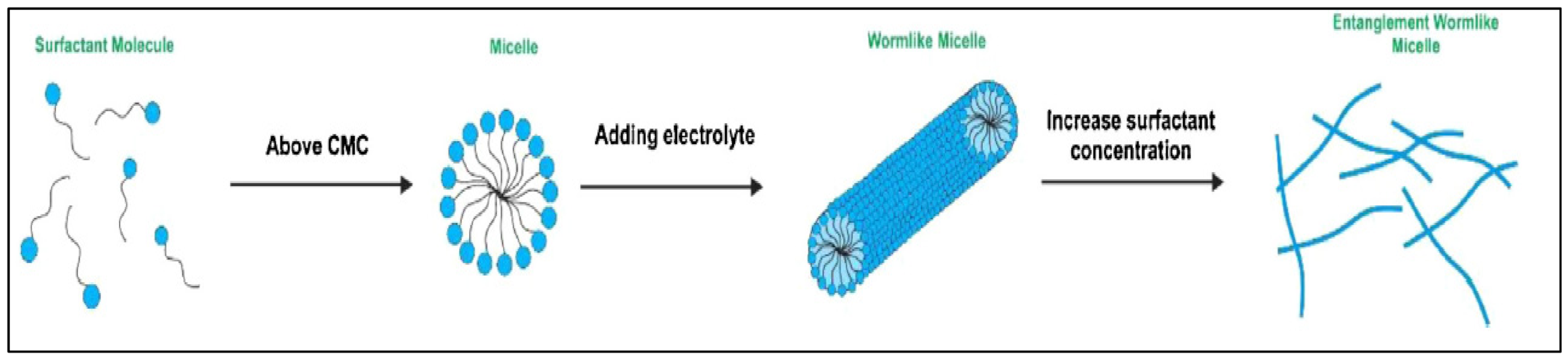 Fluids 07 00156 g002