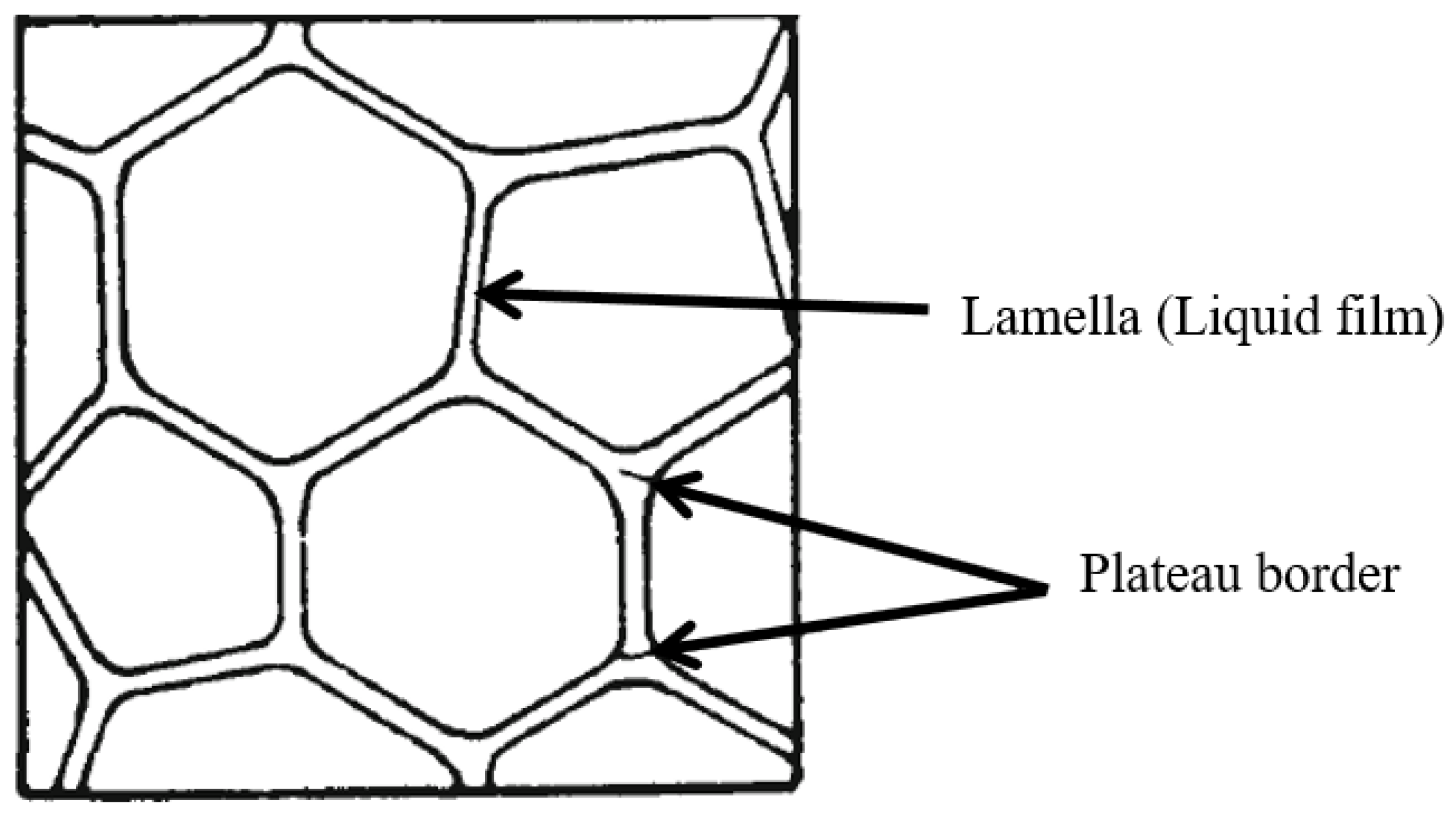 Fluids 07 00156 g003