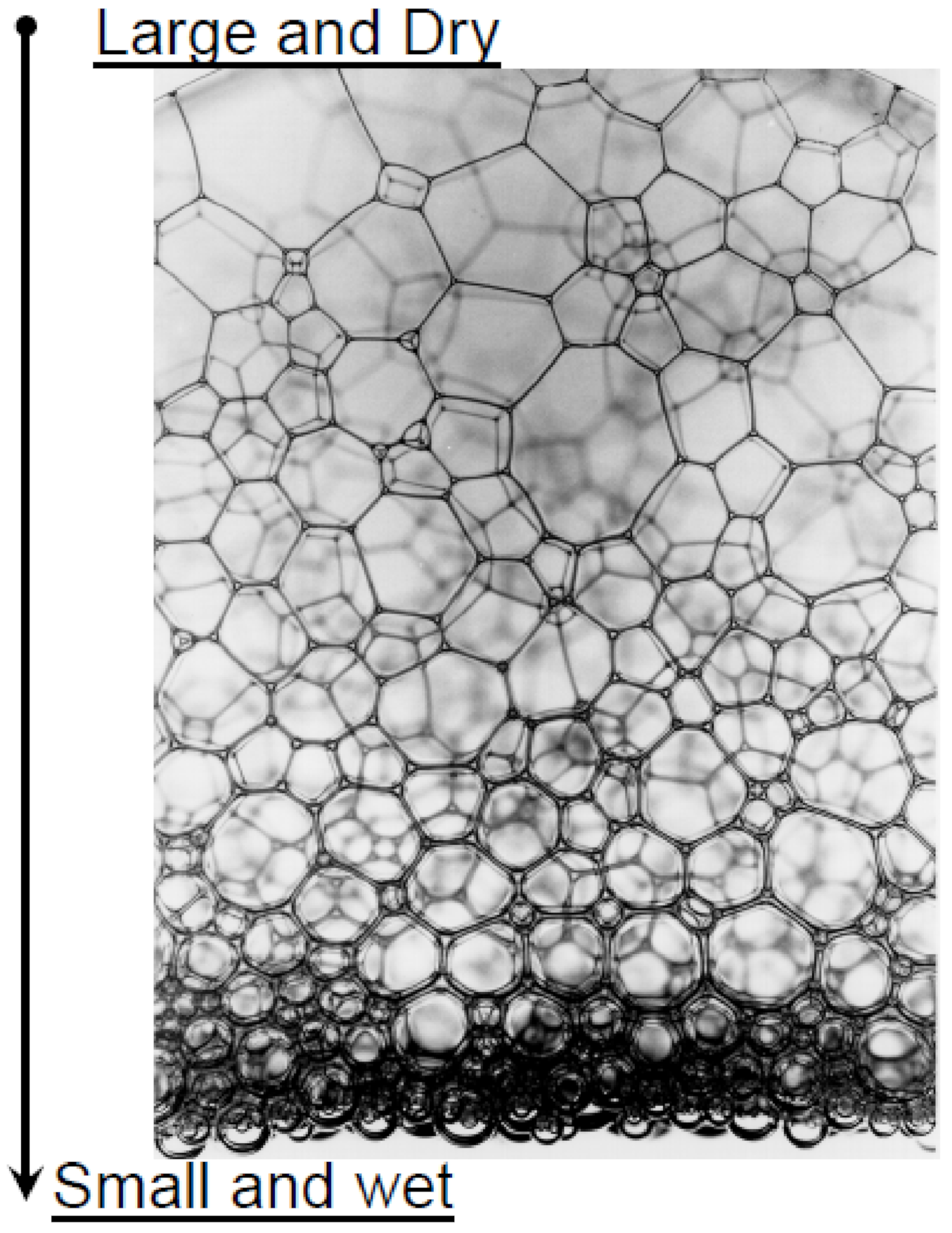 Fluids 07 00156 g004