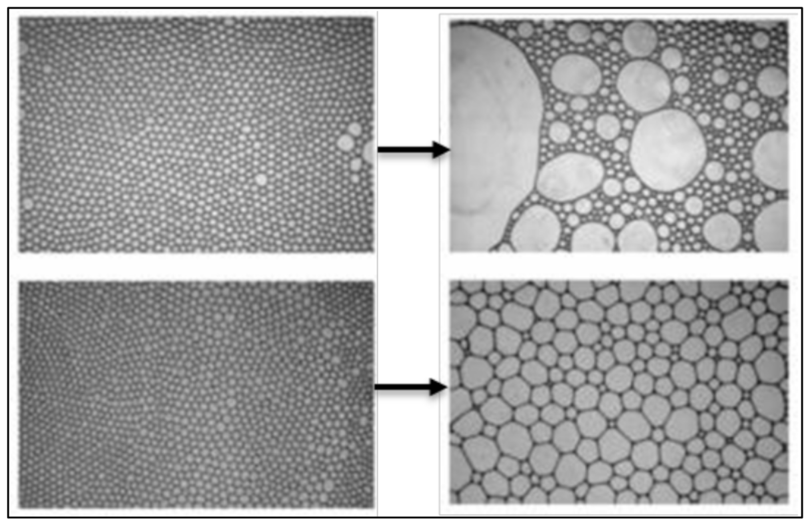 Fluids 07 00156 g015