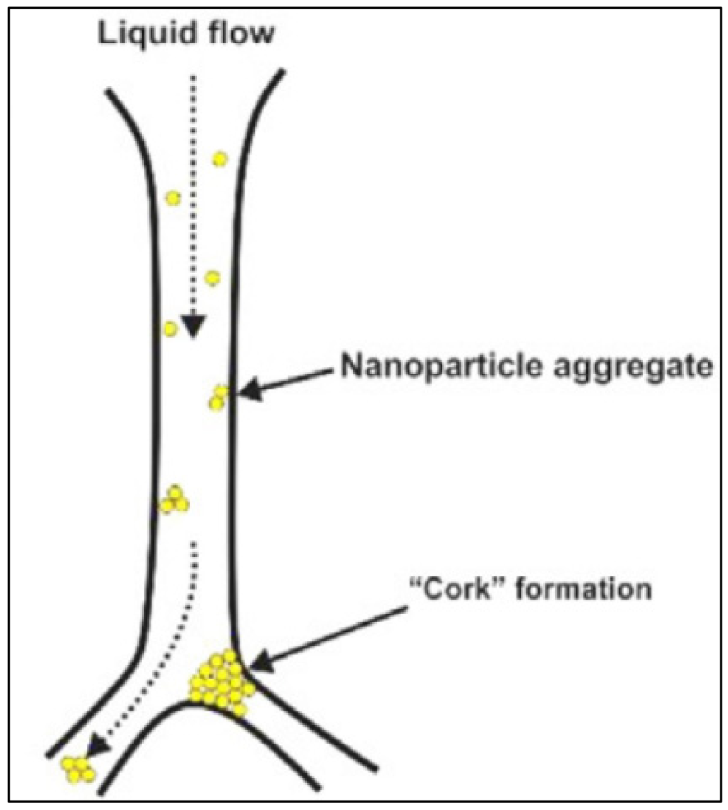 Fluids 07 00156 g025