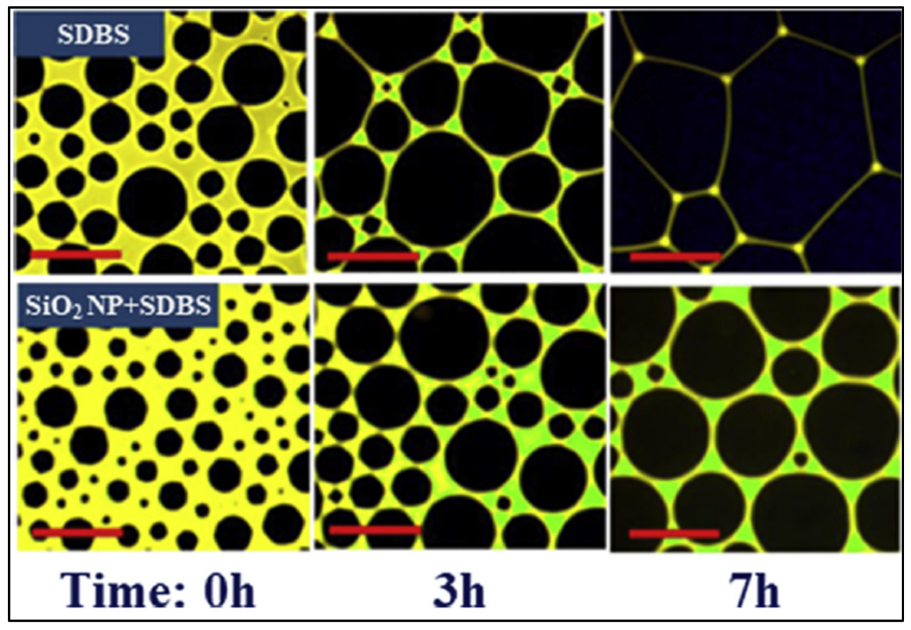 Fluids 07 00156 g026