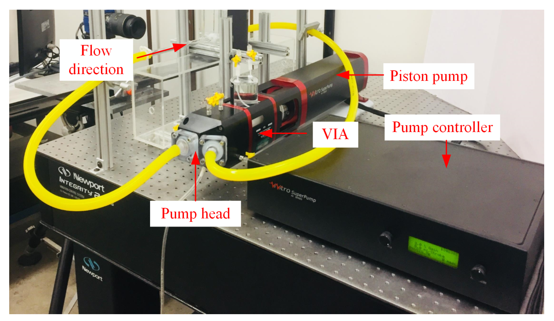 Fluids 07 00165 g002