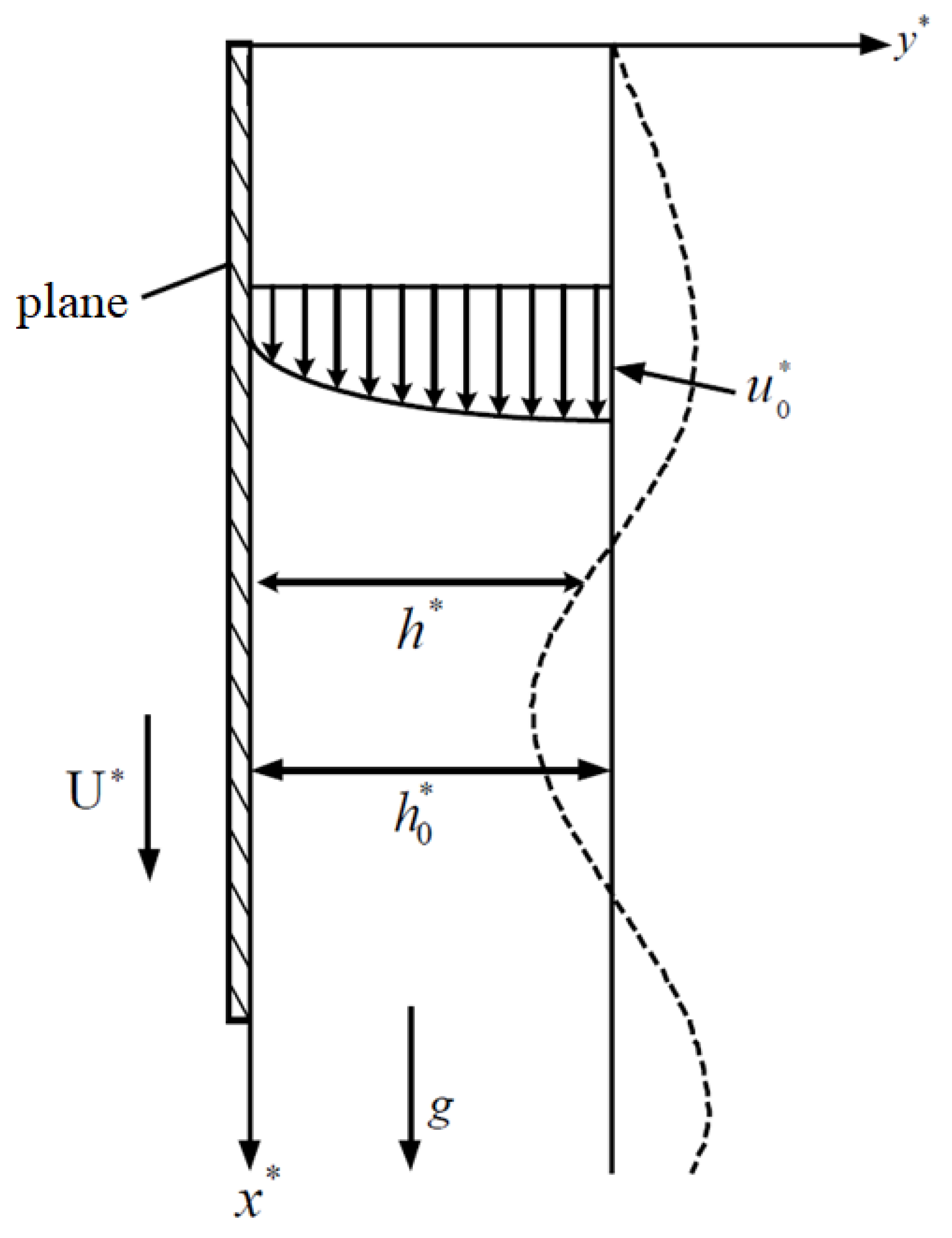 Fluids 07 00167 g001