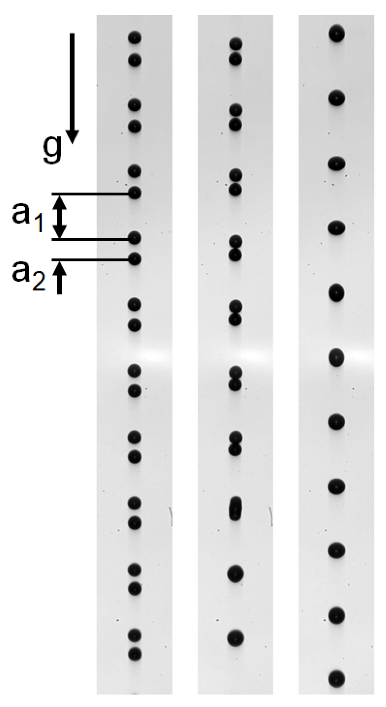 Fluids 07 00172 g003