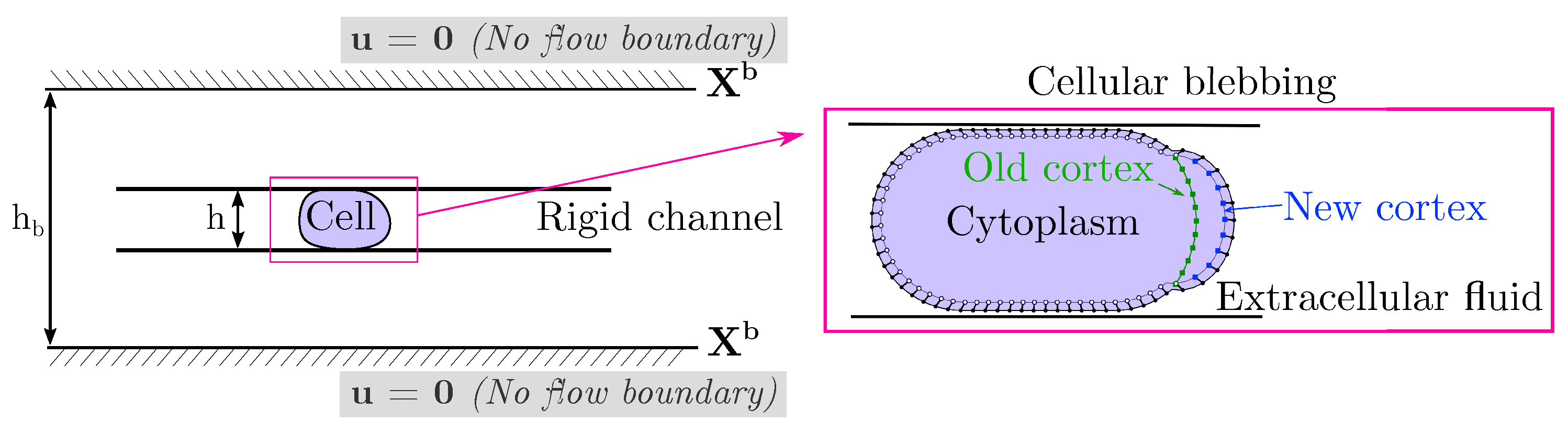 Fluids 07 00173 g001