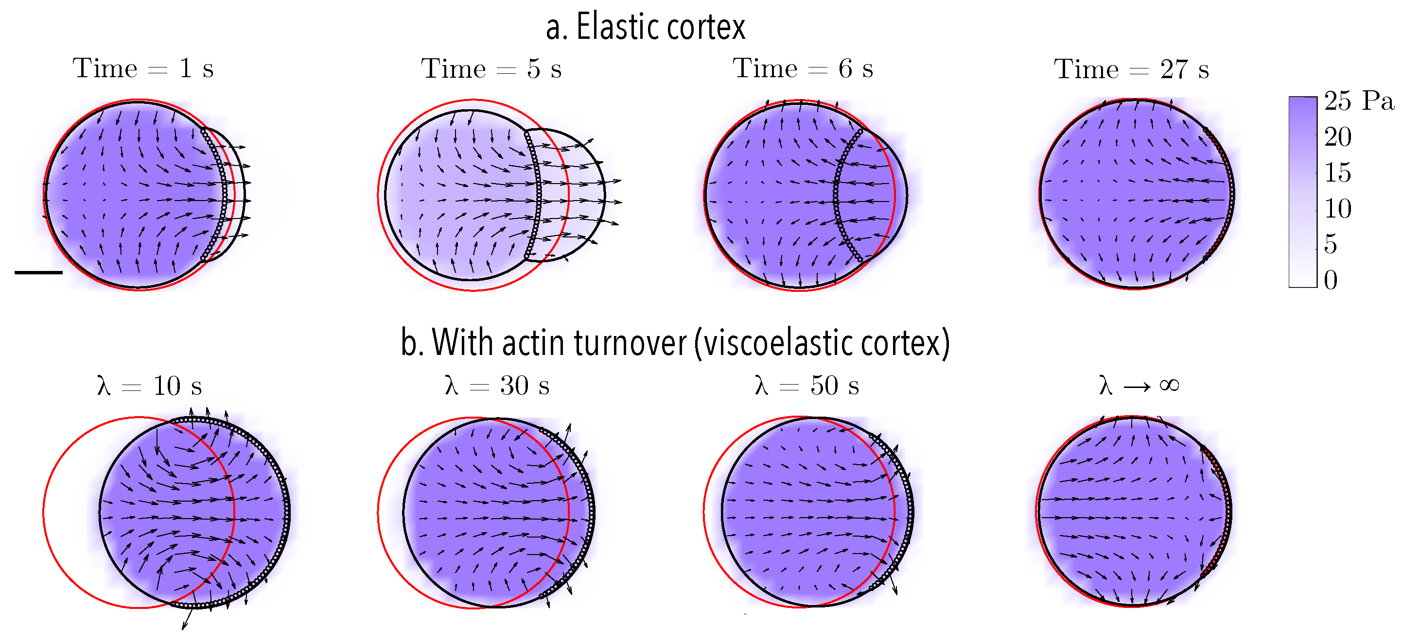 Fluids 07 00173 g005