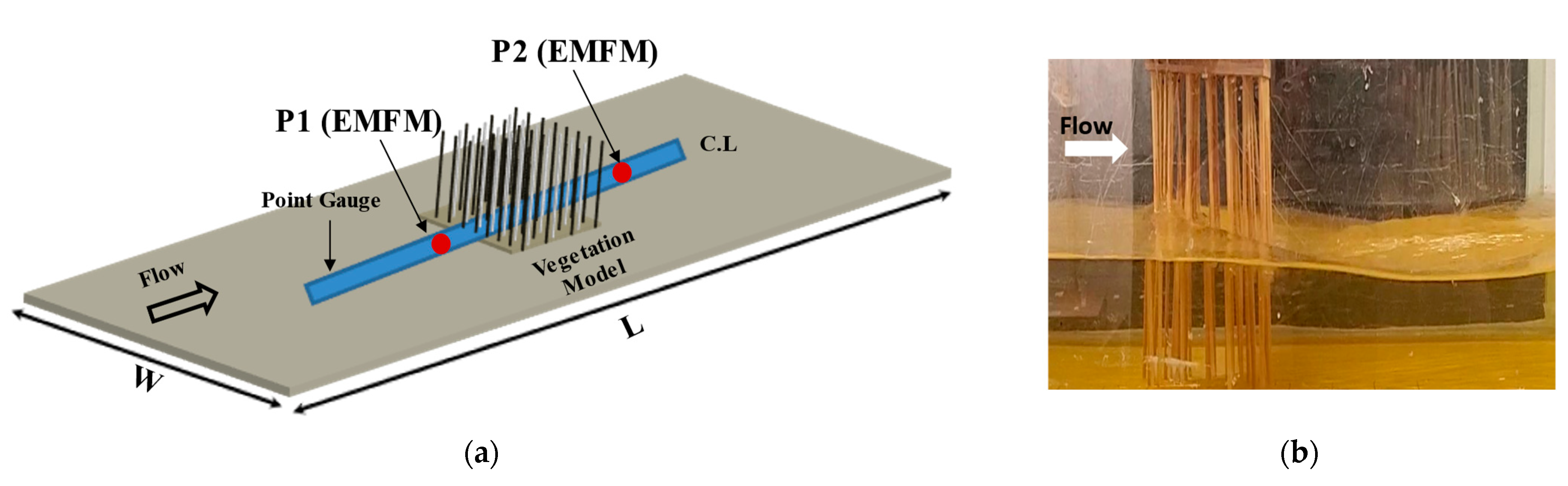 Fluids 07 00175 g005