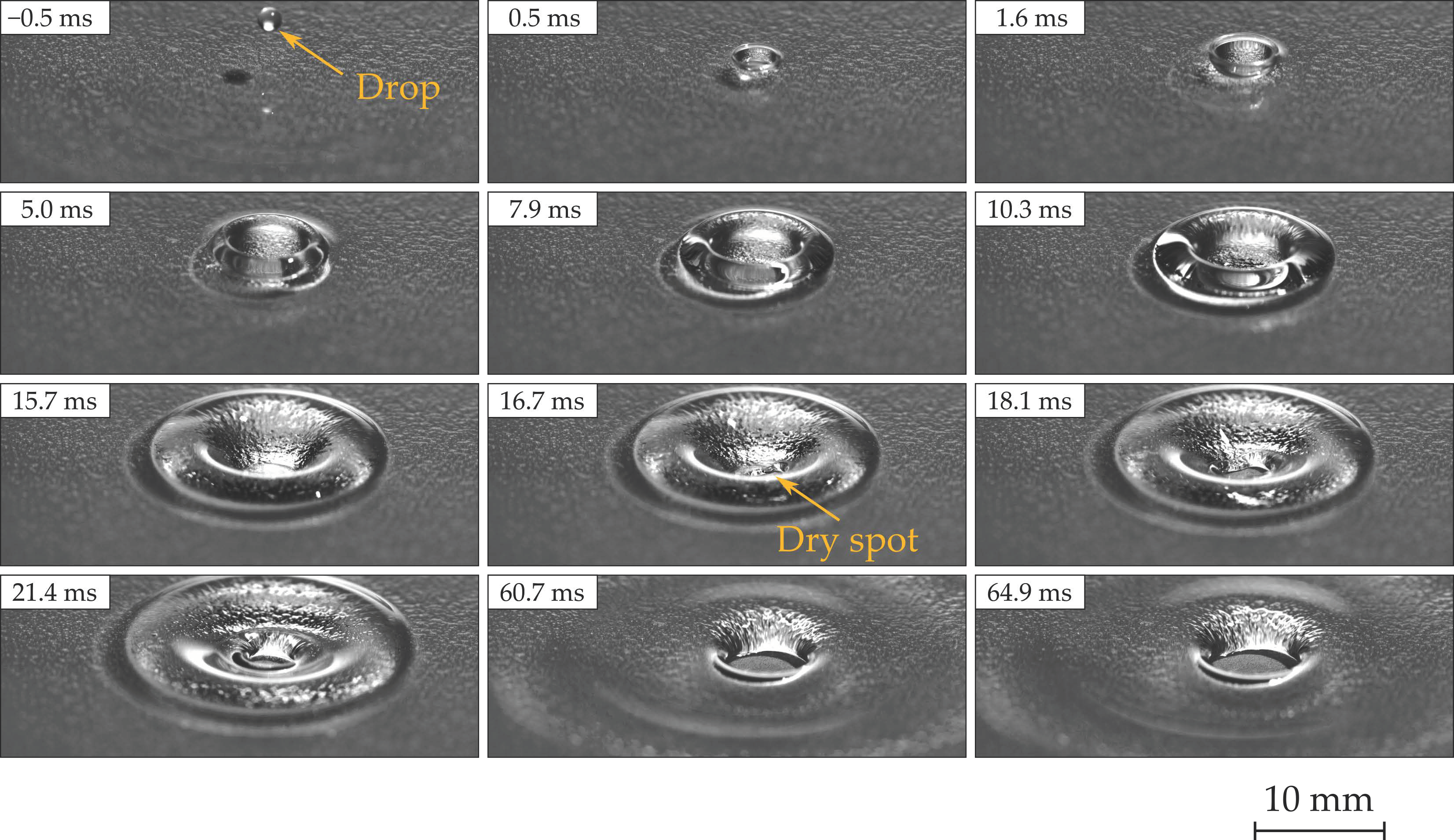 Fluids 07 00196 g002