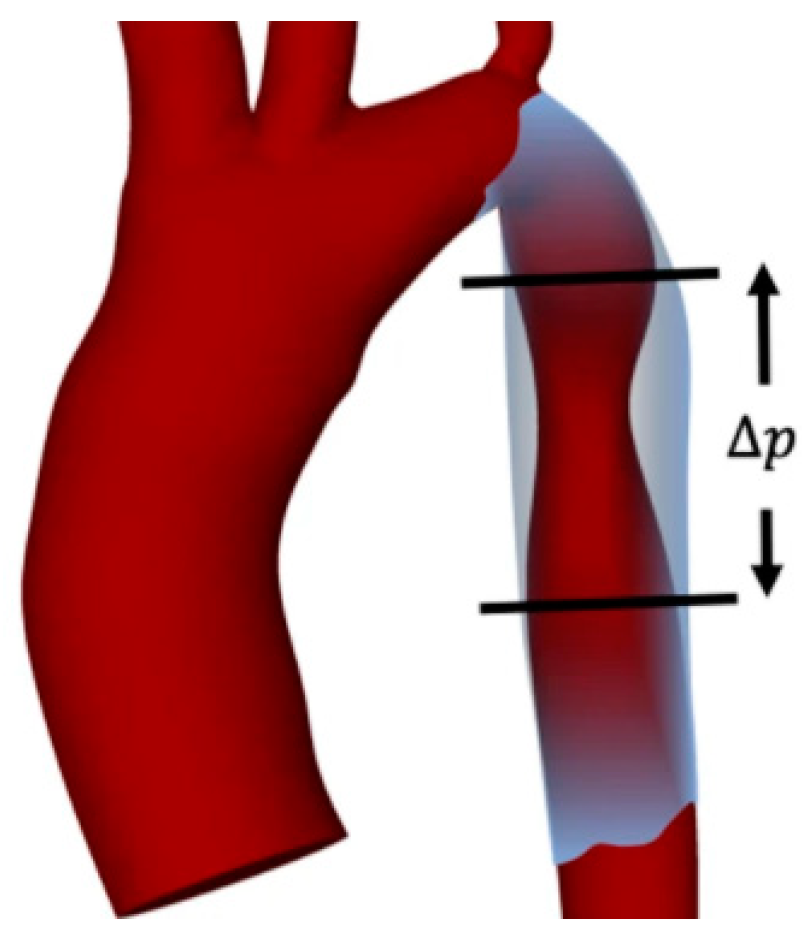 Fluids 07 00197 g003