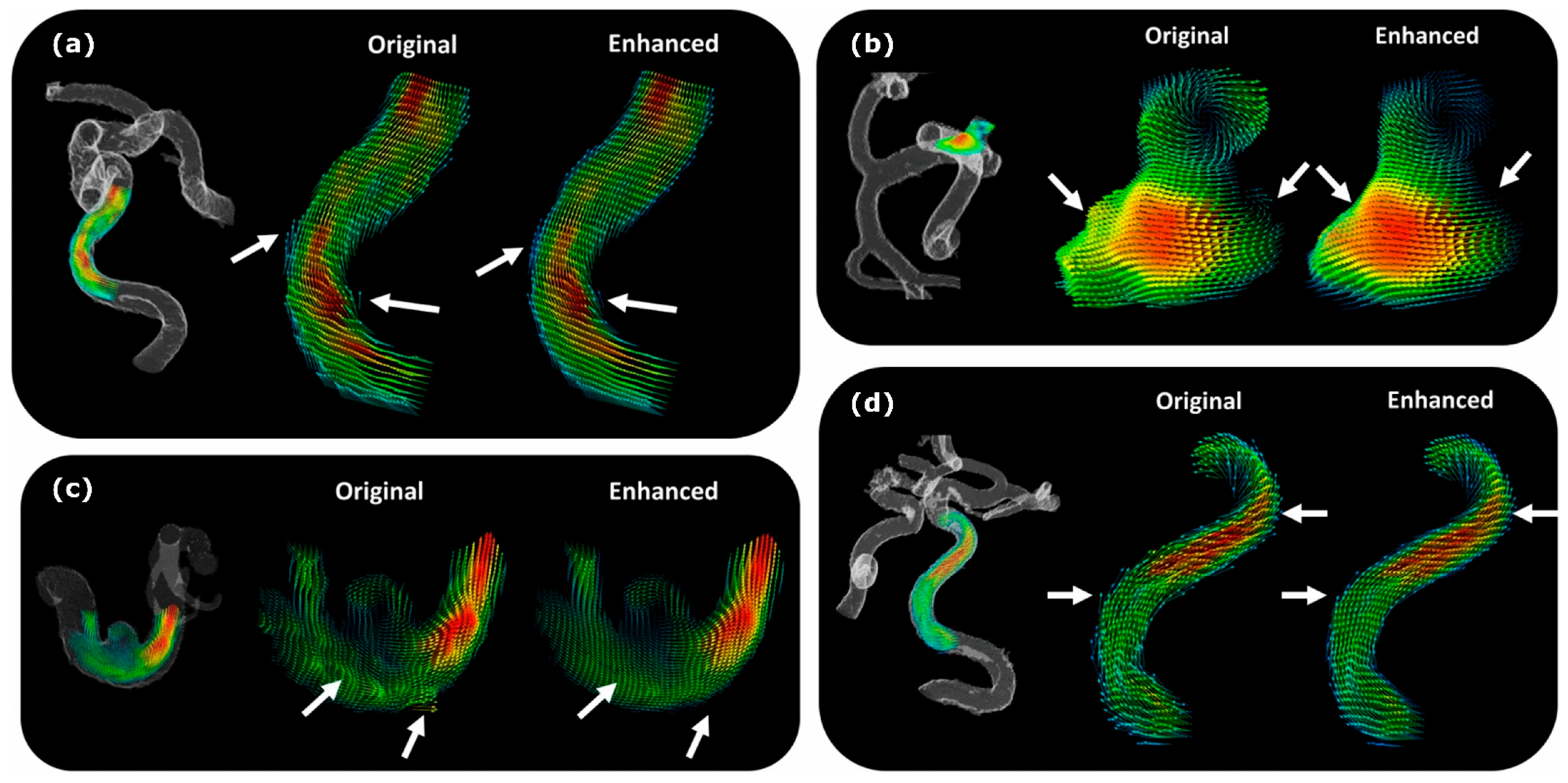 Fluids 07 00197 g005