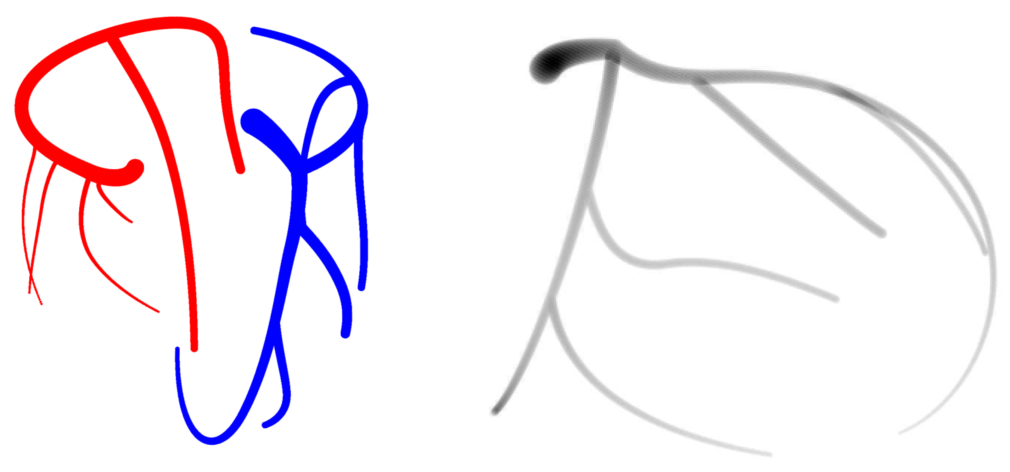 Fluids 07 00201 g001