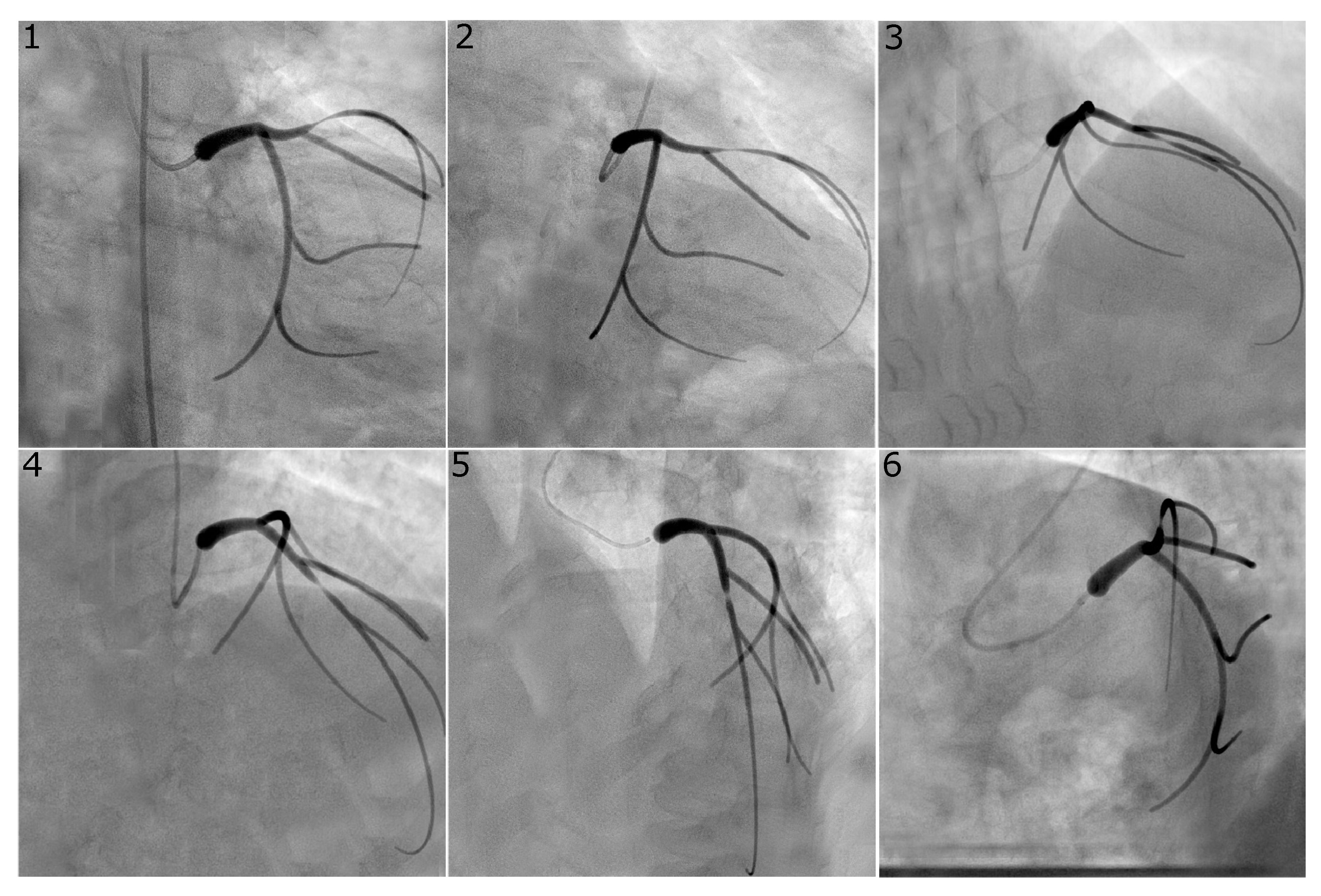 Fluids 07 00201 g003