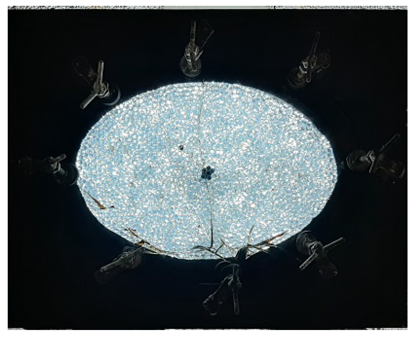 Fluids 07 00206 g007