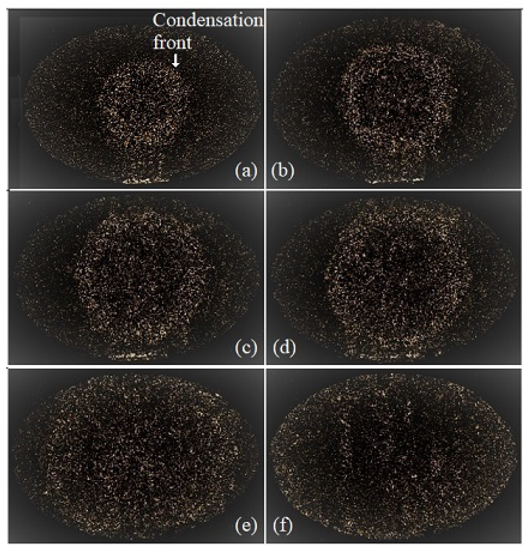 Fluids 07 00206 g009