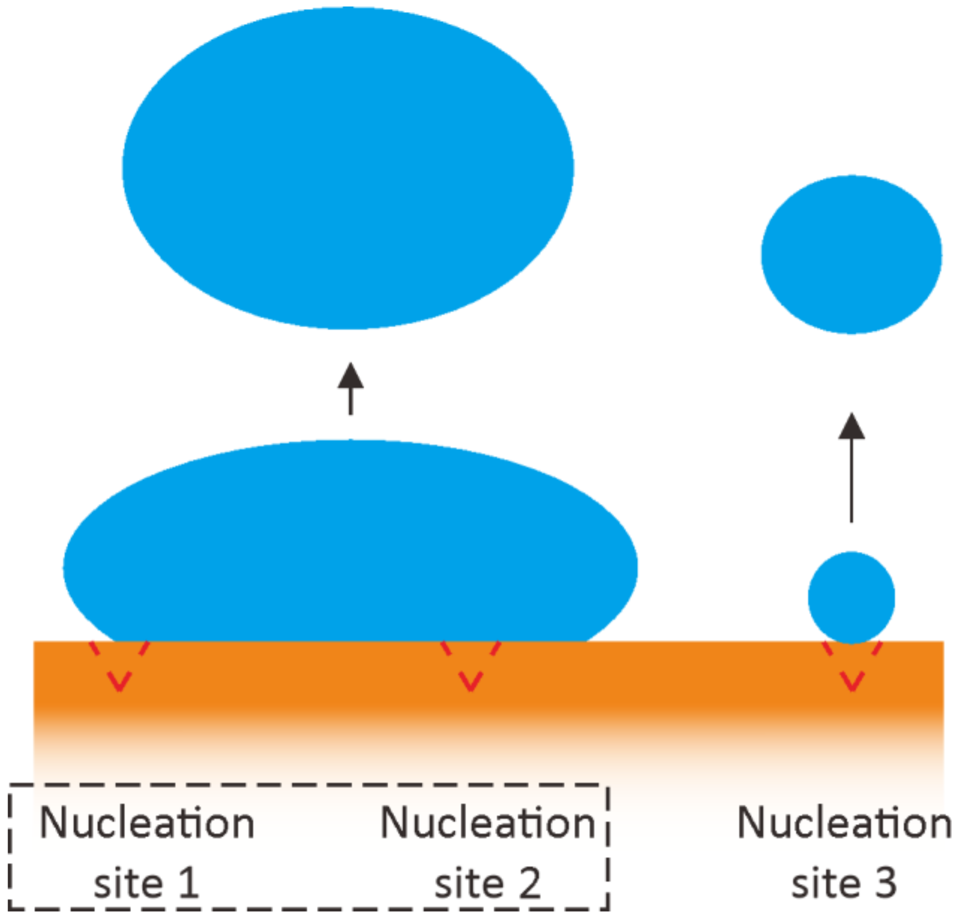 Fluids 07 00232 g012