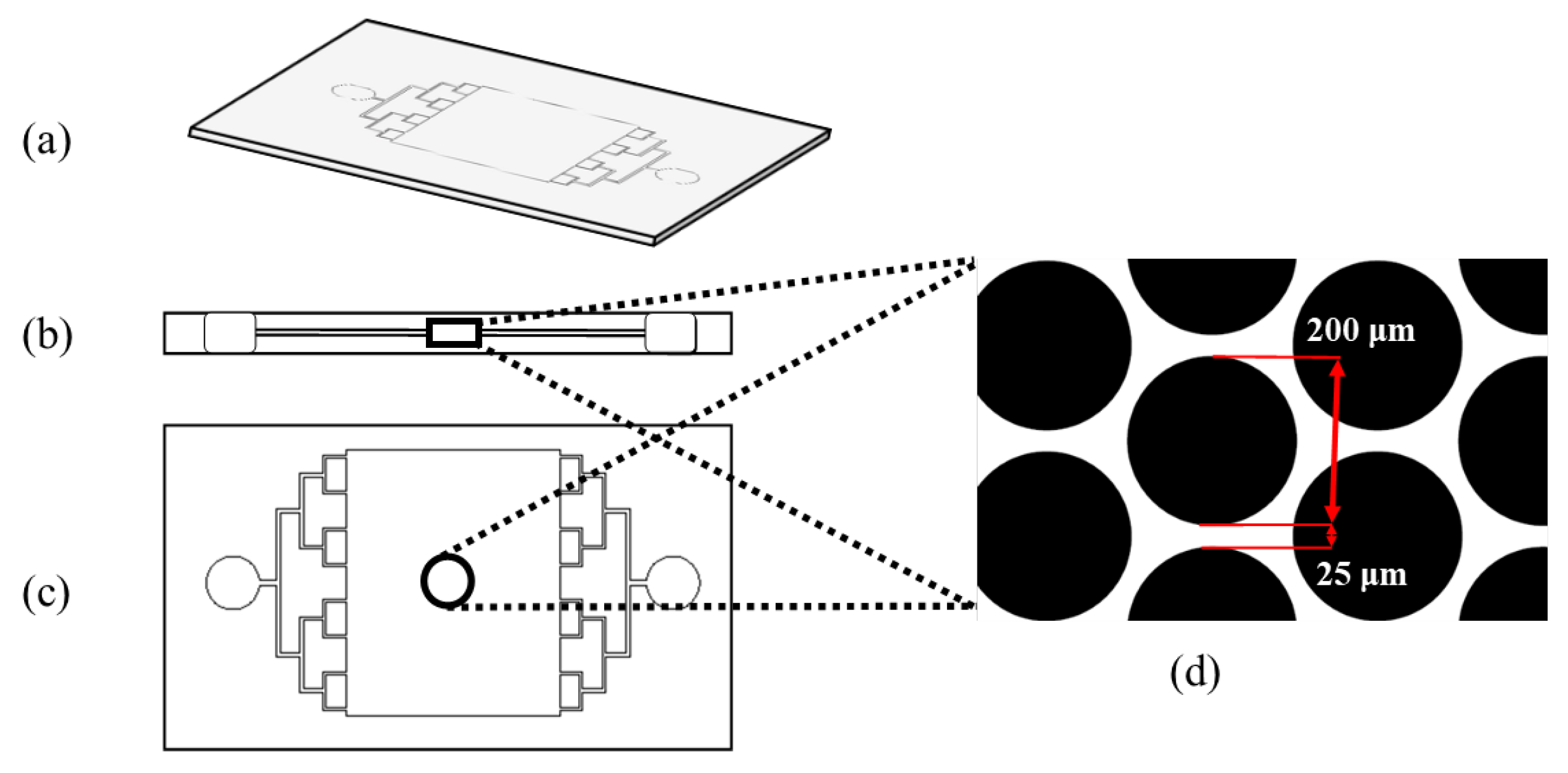 Fluids 07 00256 g001