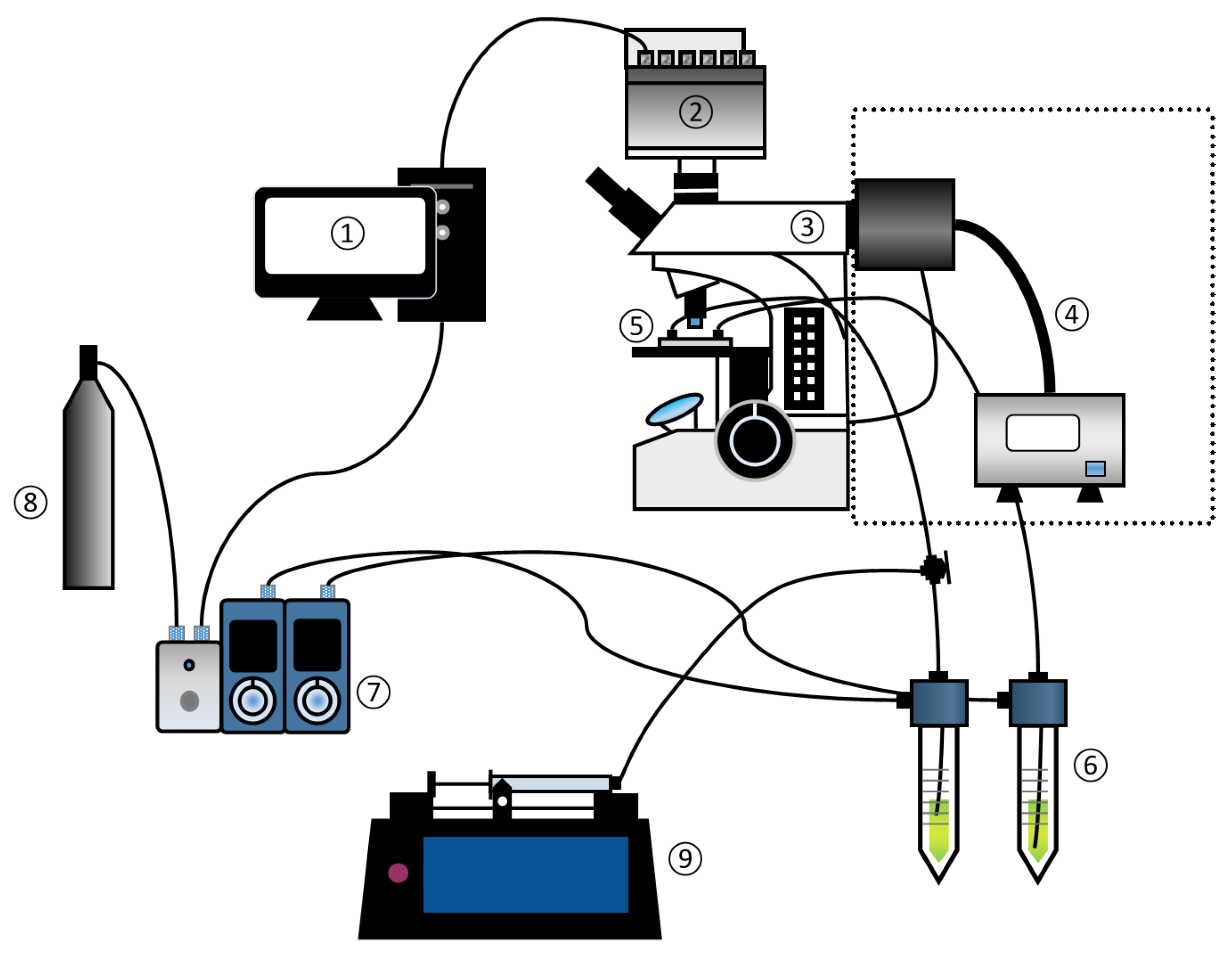 Fluids 07 00256 g002