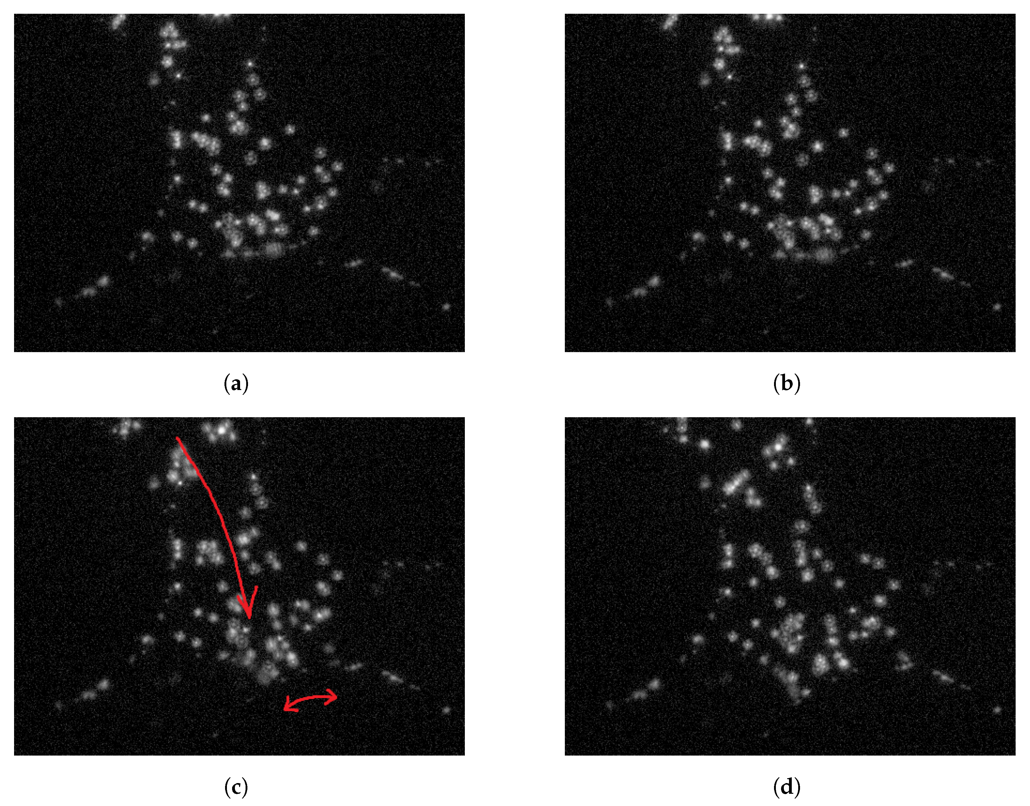 Fluids 07 00256 g009