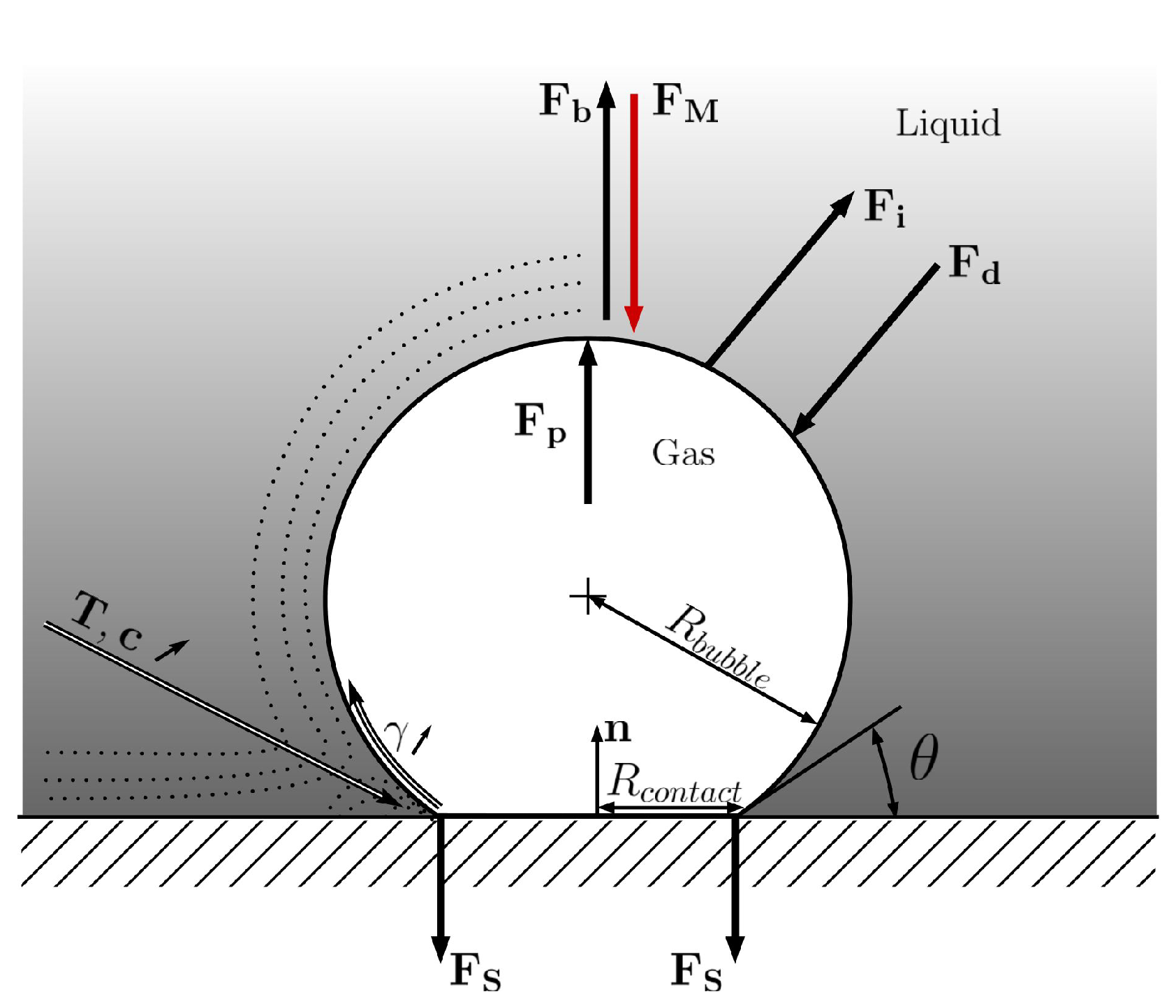 Fluids 07 00262 g001