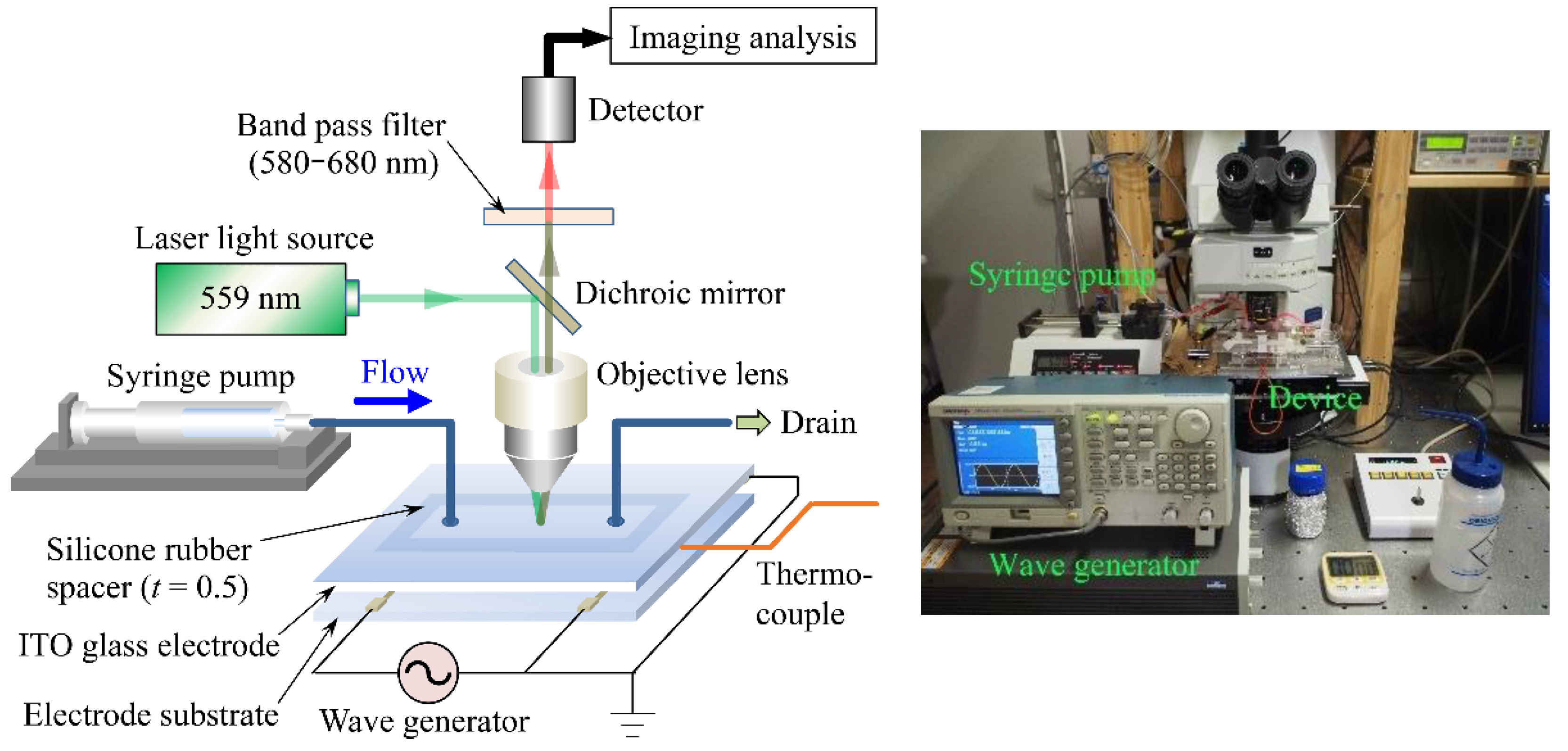 Fluids 07 00263 g002