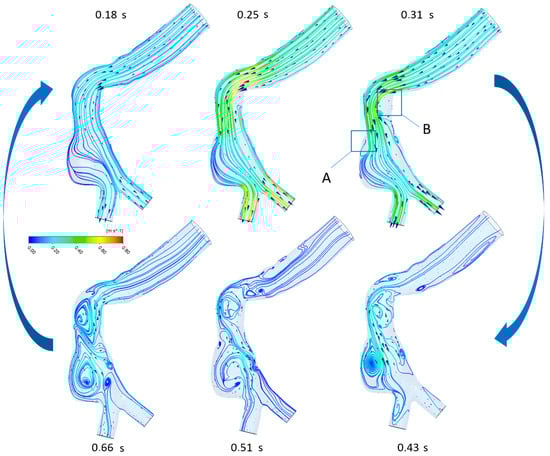 Fluids 07 00269 g005 550