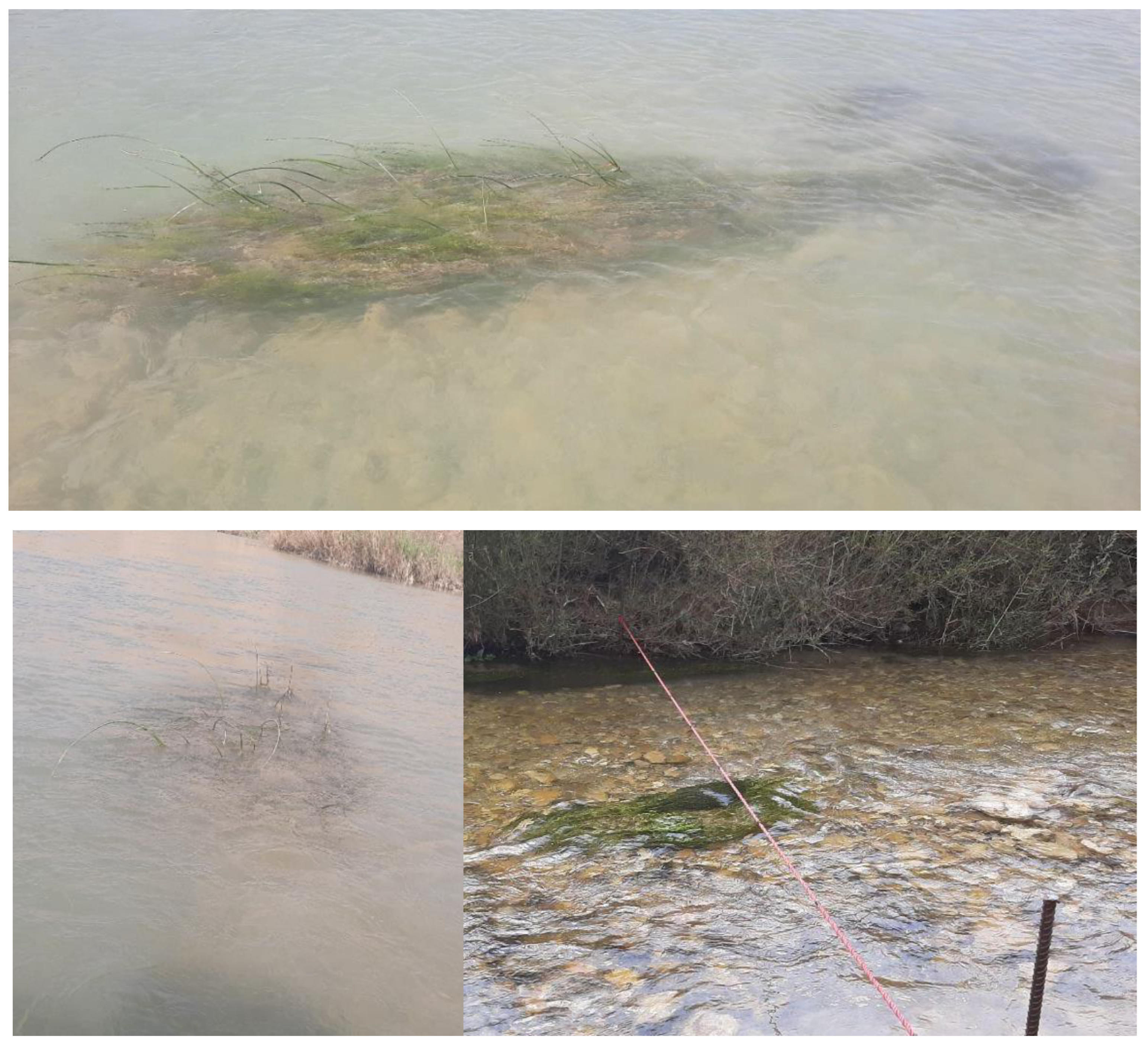 Fluids 07 00284 g002