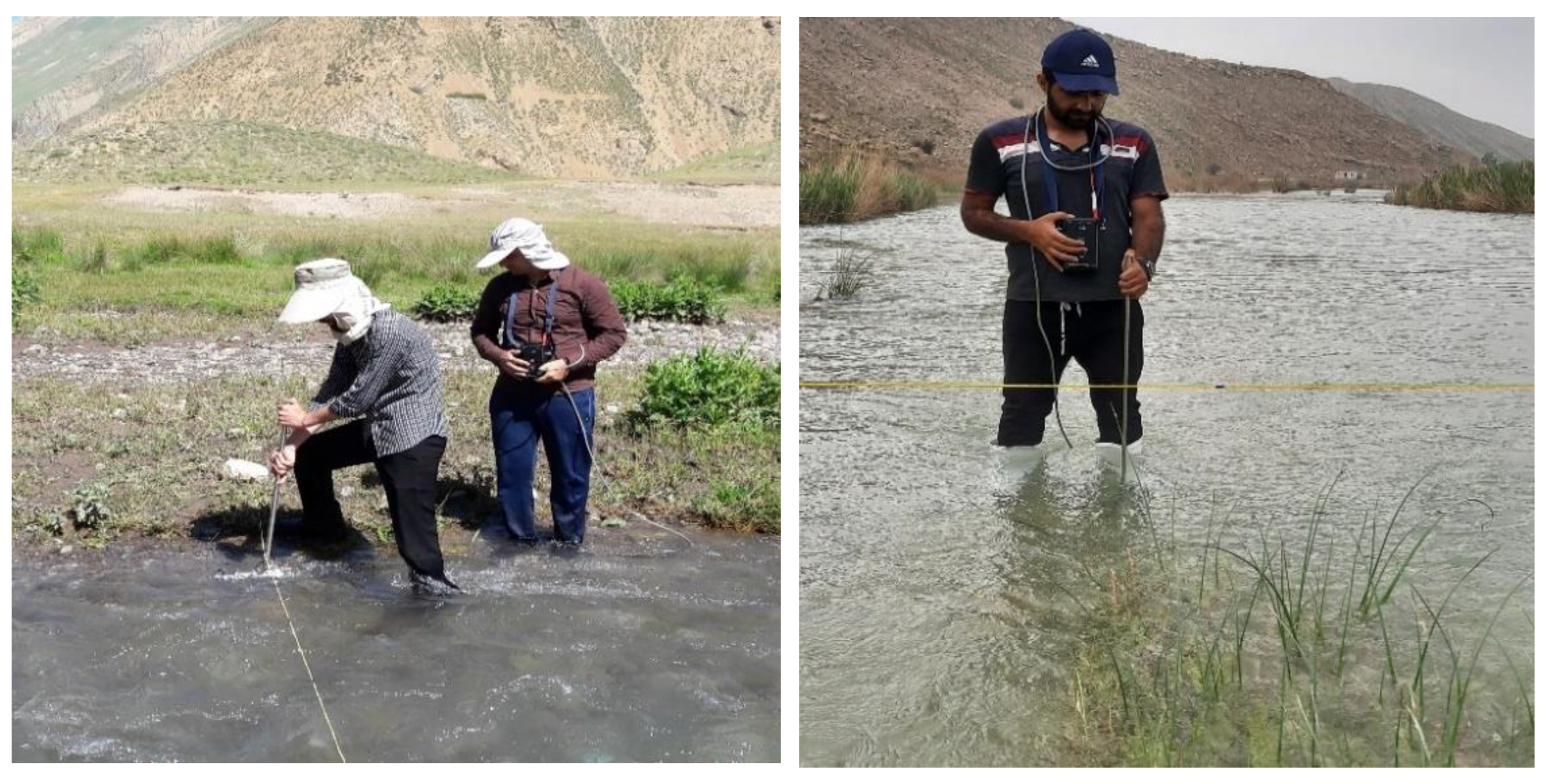 Fluids 07 00284 g003