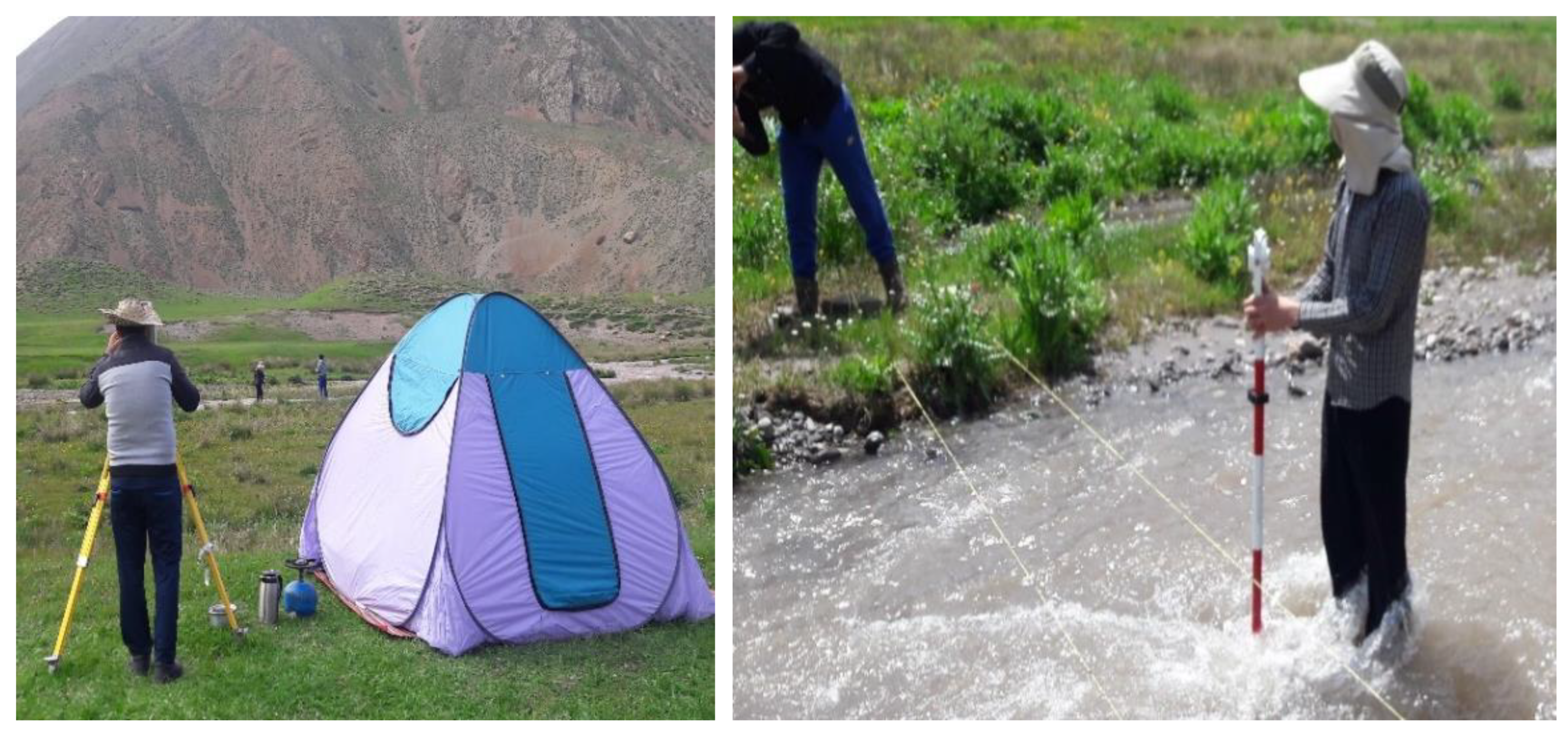 Fluids 07 00284 g004