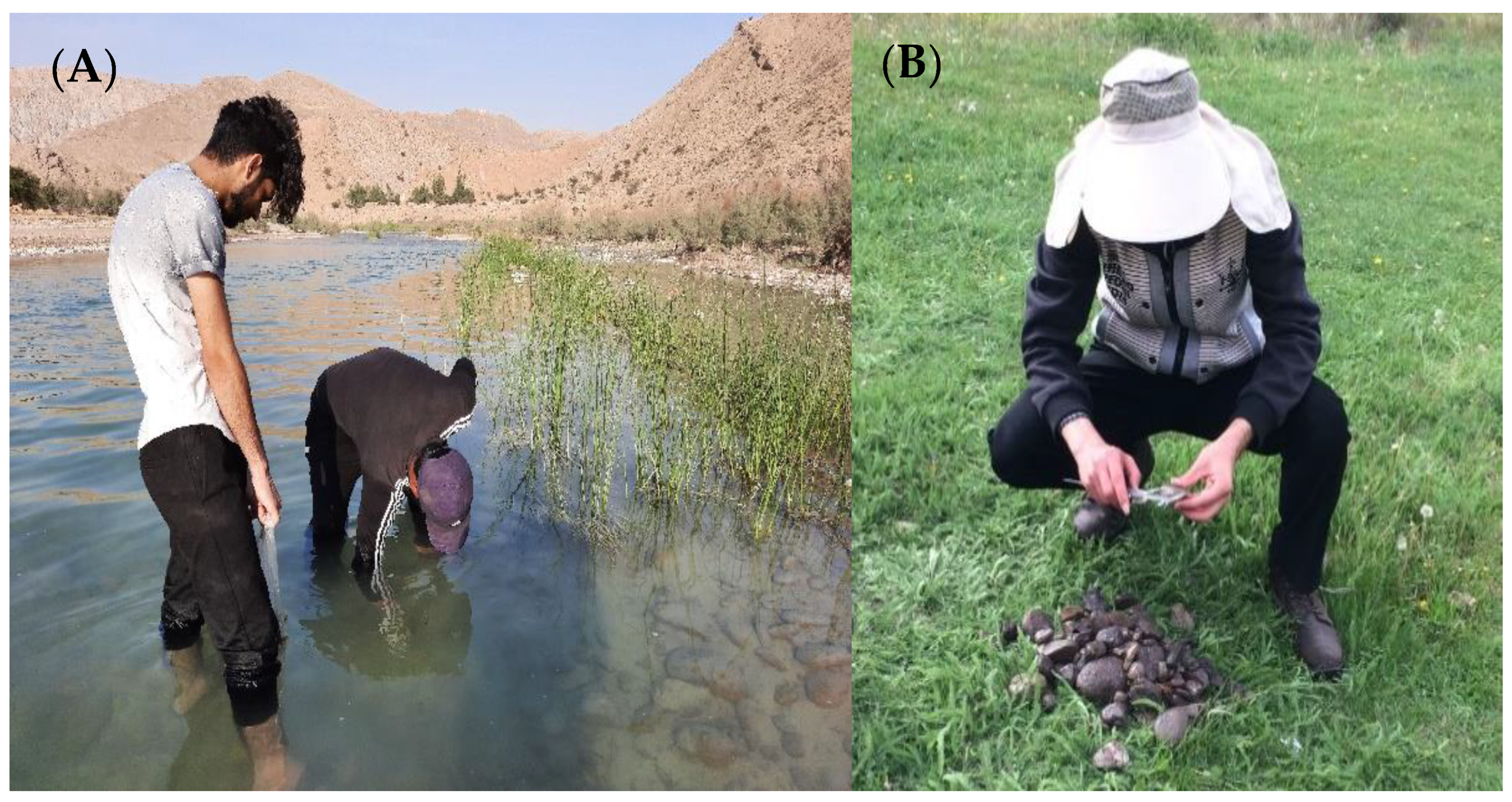 Fluids 07 00284 g006