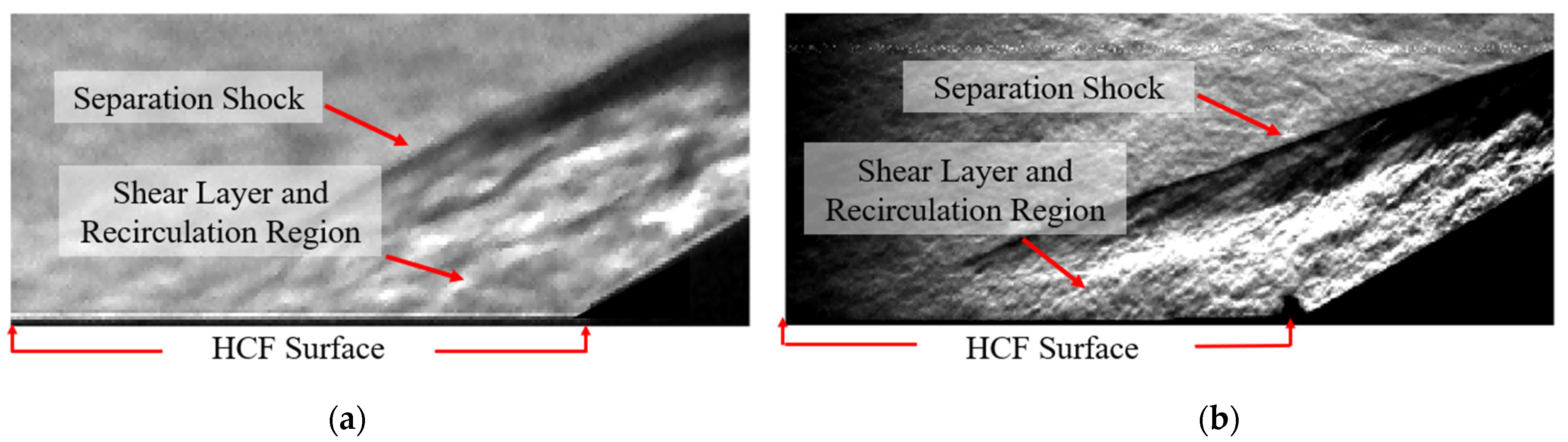 Fluids 07 00286 g005